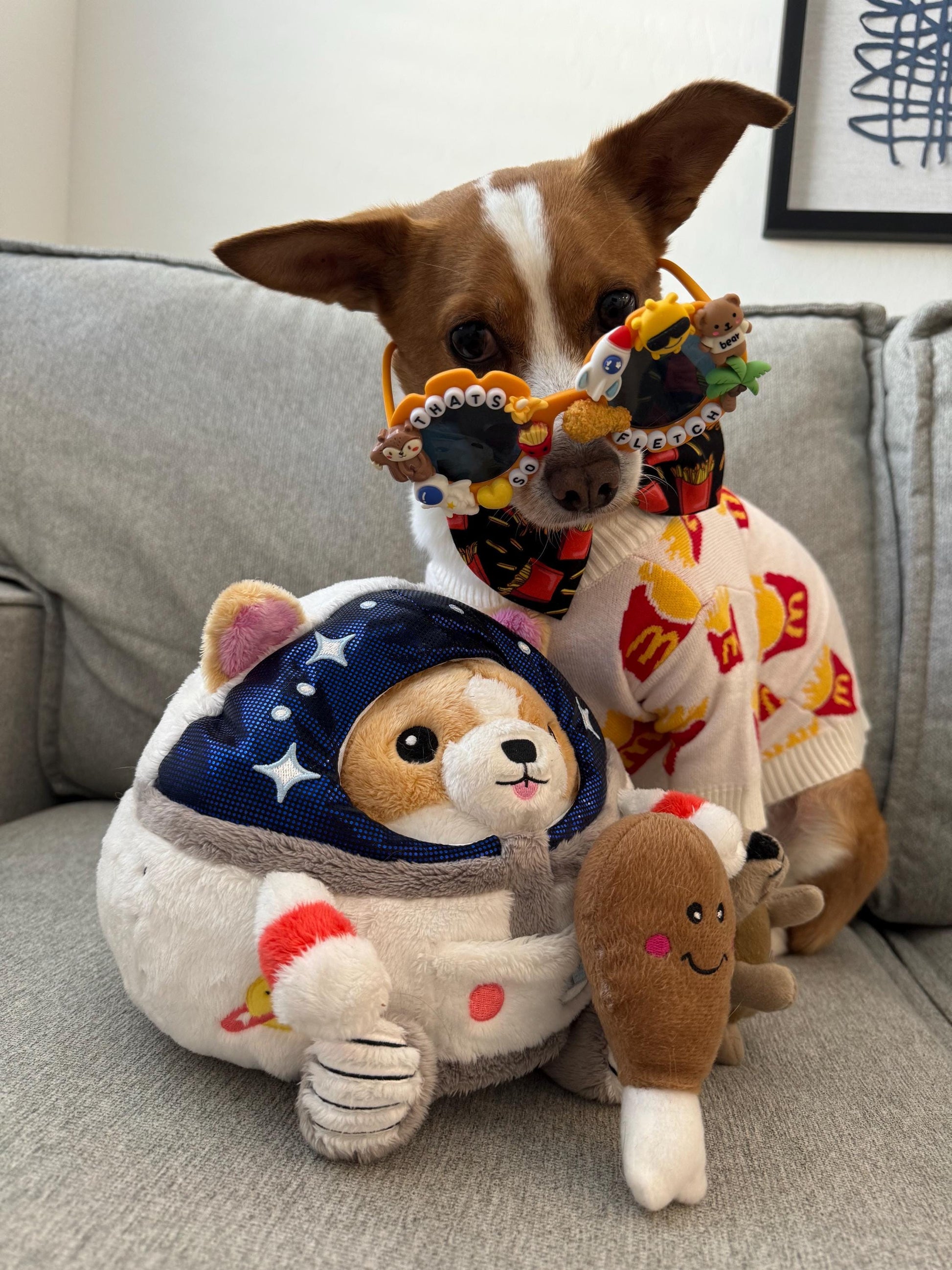 CUSTOM- DESIGN/THEME Dog Sunglasses