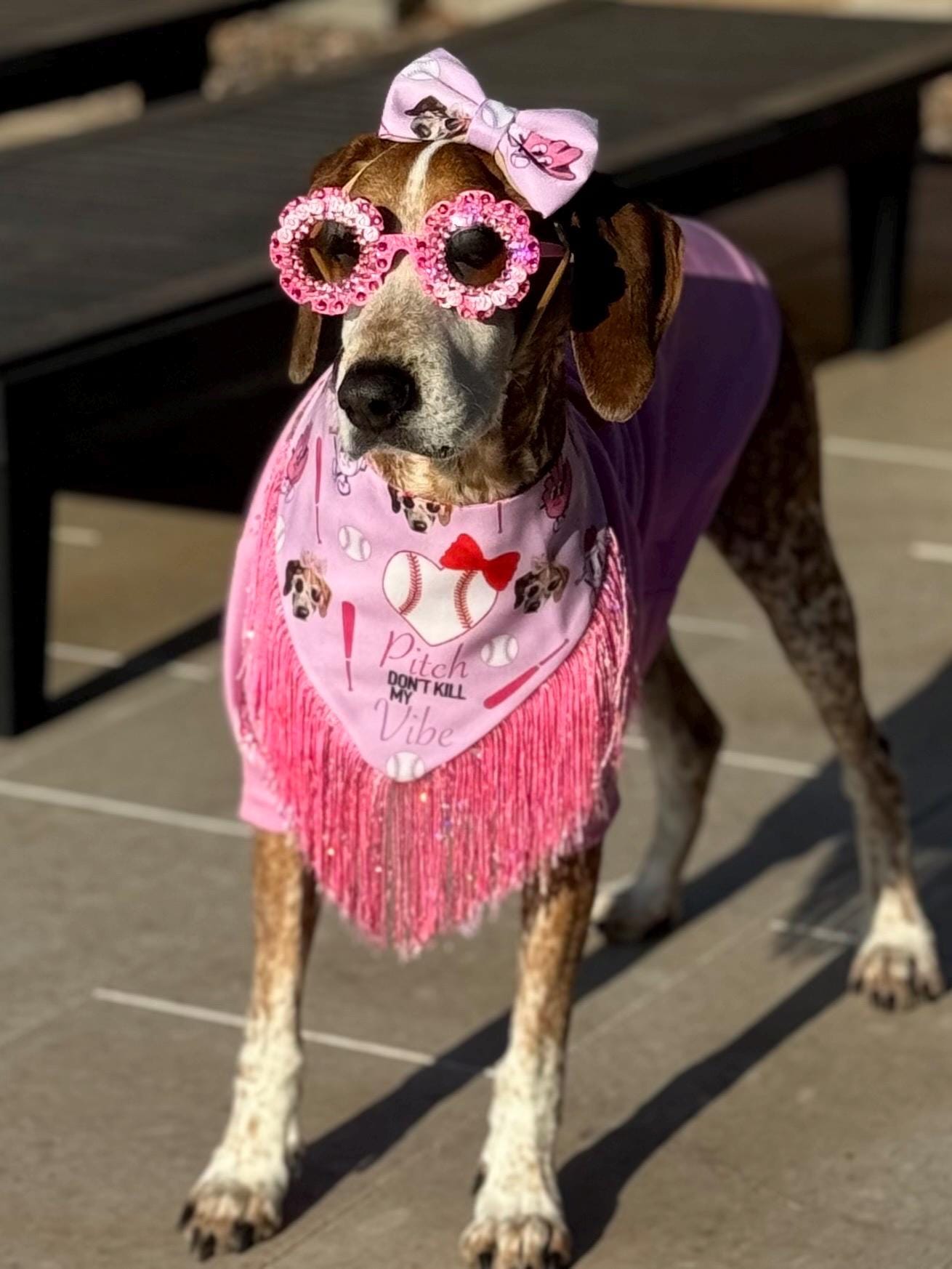 CUSTOM- DESIGN/THEME Dog Sunglasses