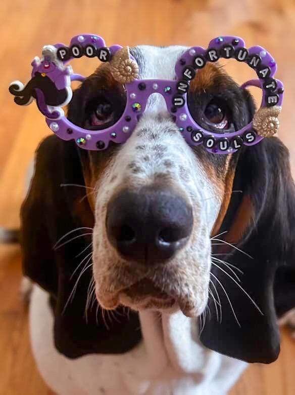 CUSTOM- DESIGN/THEME Dog Sunglasses