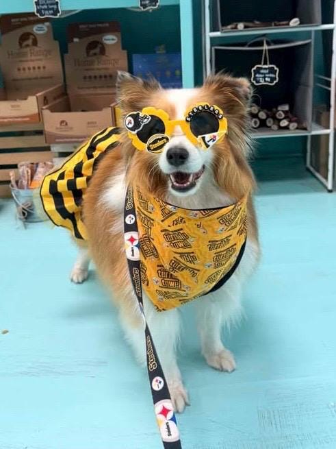 CUSTOM- DESIGN/THEME Dog Sunglasses