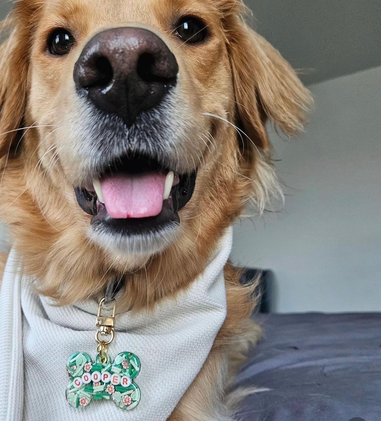 Cactus Bloom Pet Tag