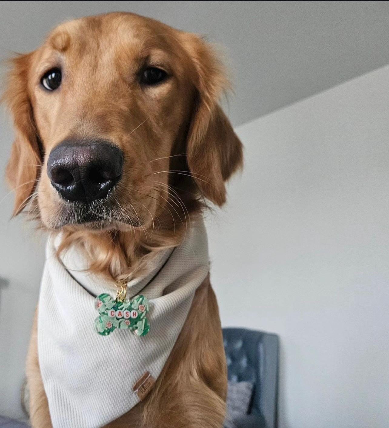 Cactus Bloom Pet Tag