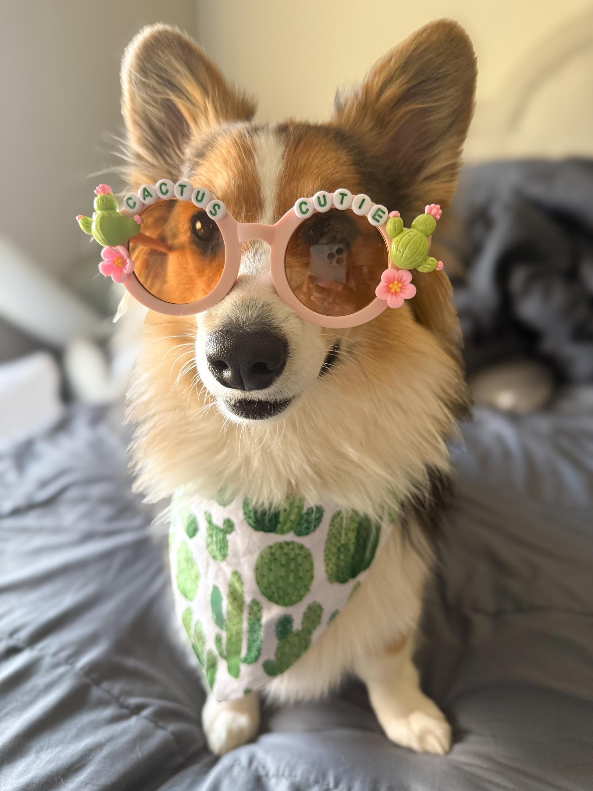 Cactus Cutie Sunglasses