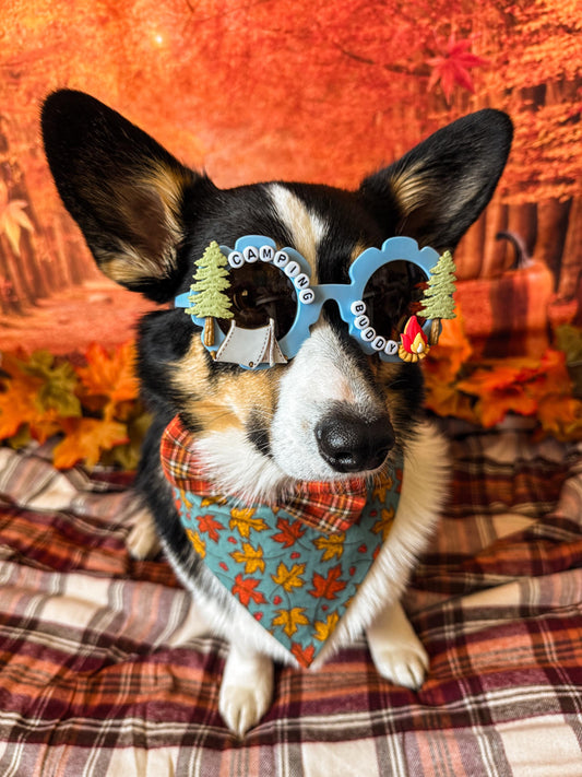 Camping Buddy Sunglasses