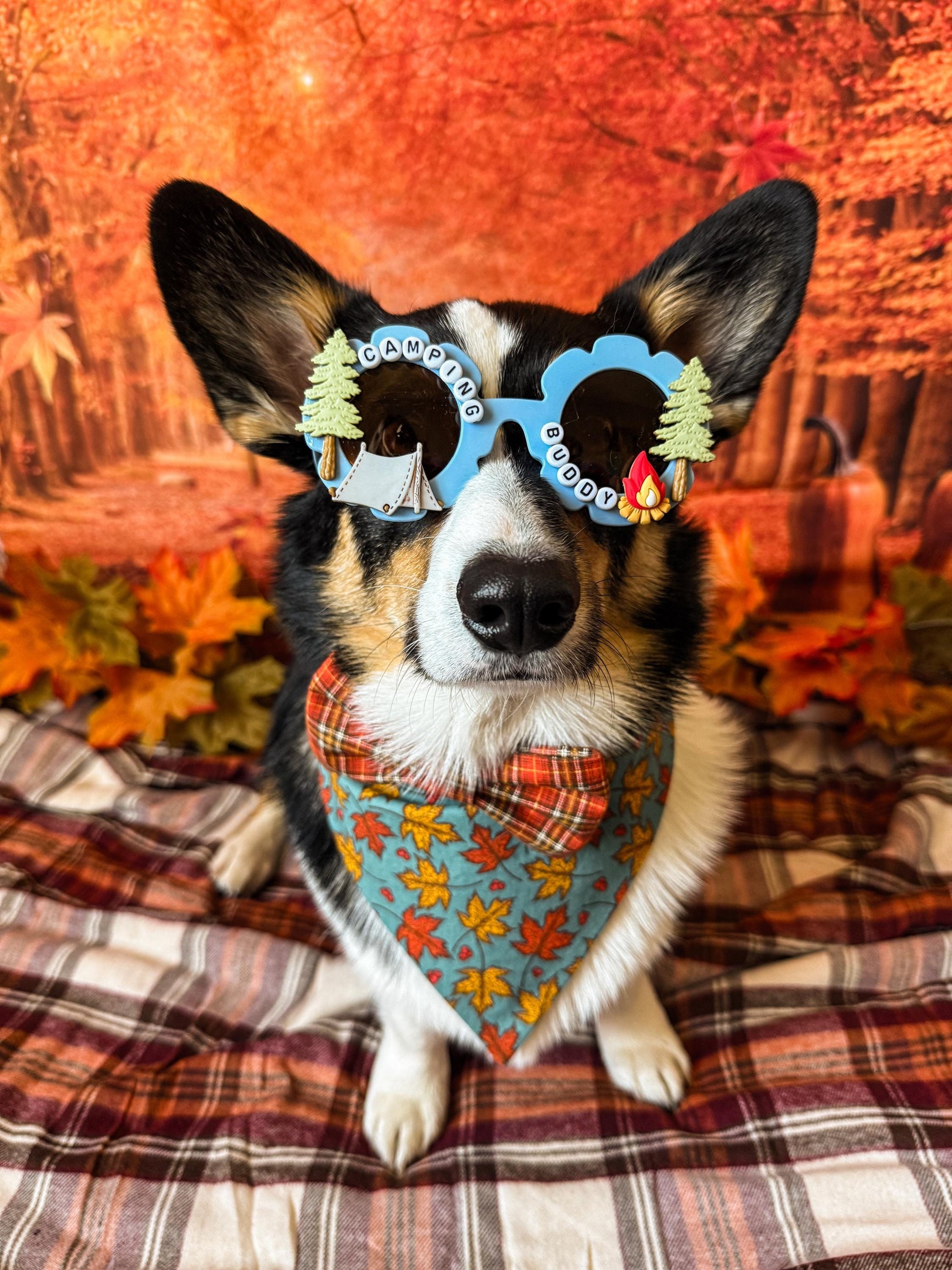 Camping Buddy Sunglasses