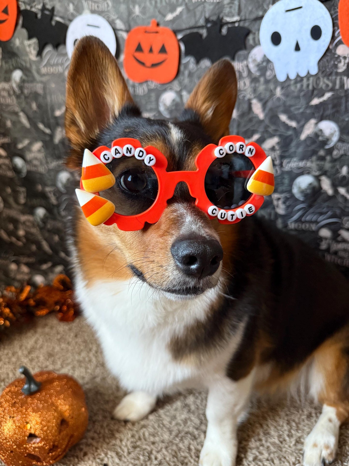Candy Corn Cutie Sunglasses