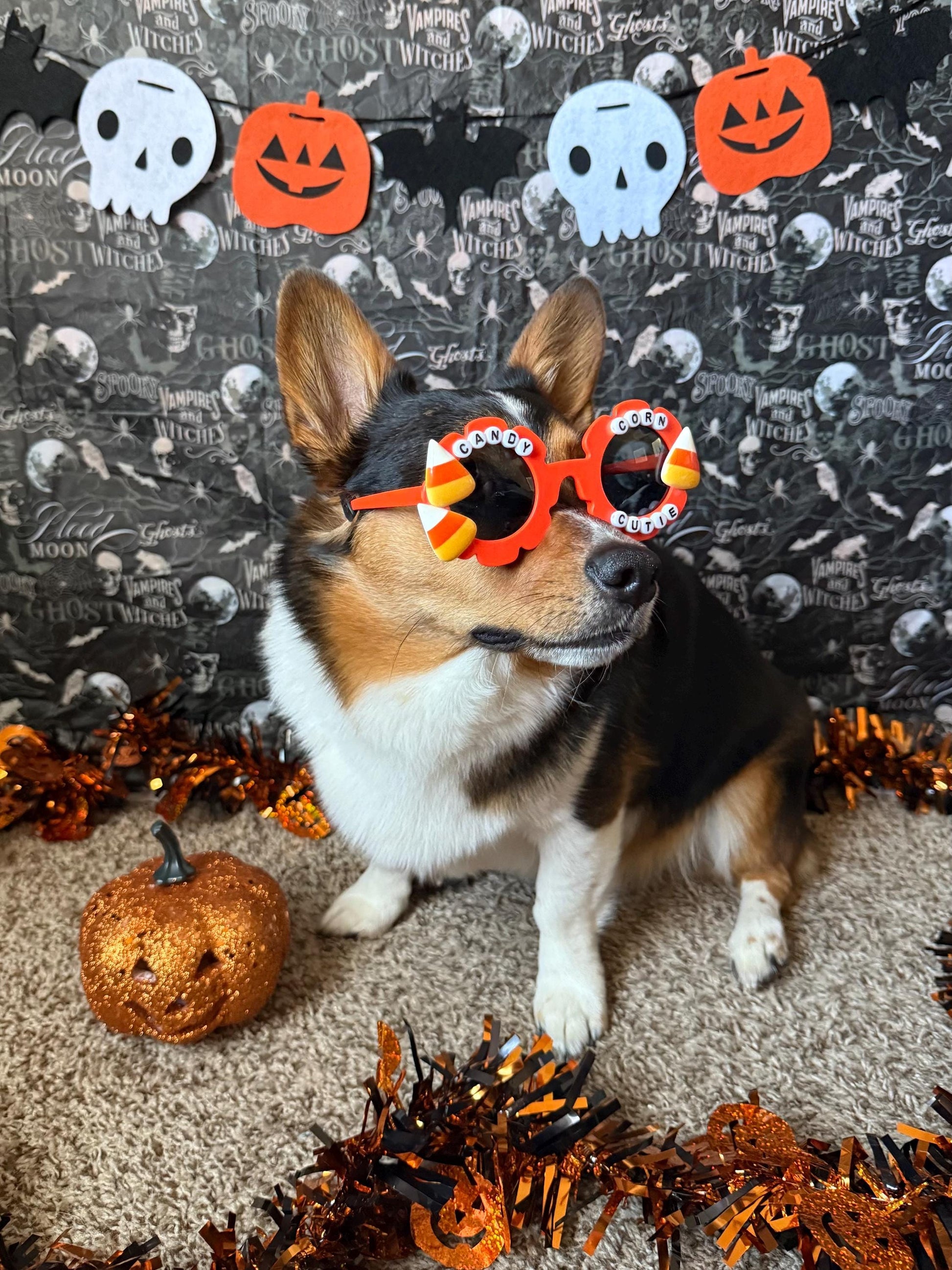 Candy Corn Cutie Sunglasses