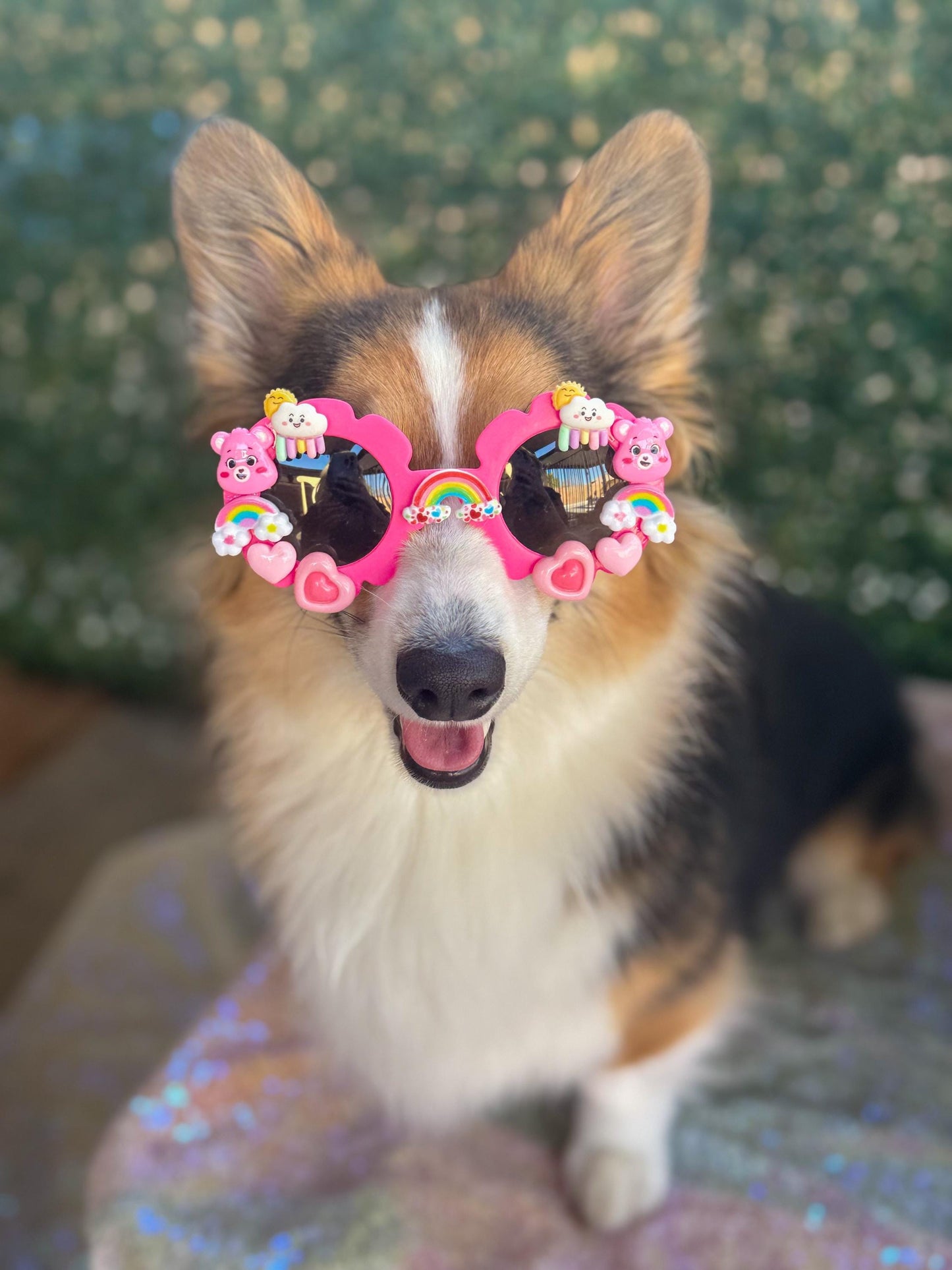 Cheer Bear Sunglasses