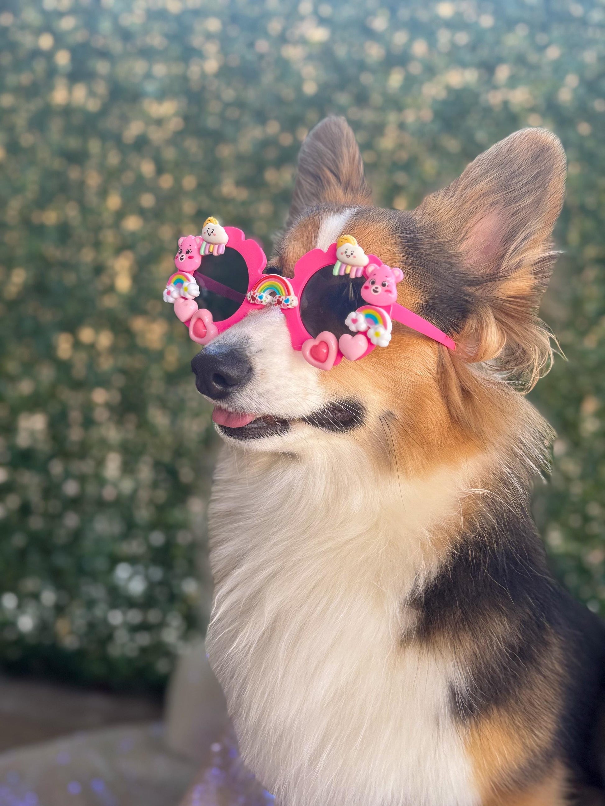 Cheer Bear Sunglasses