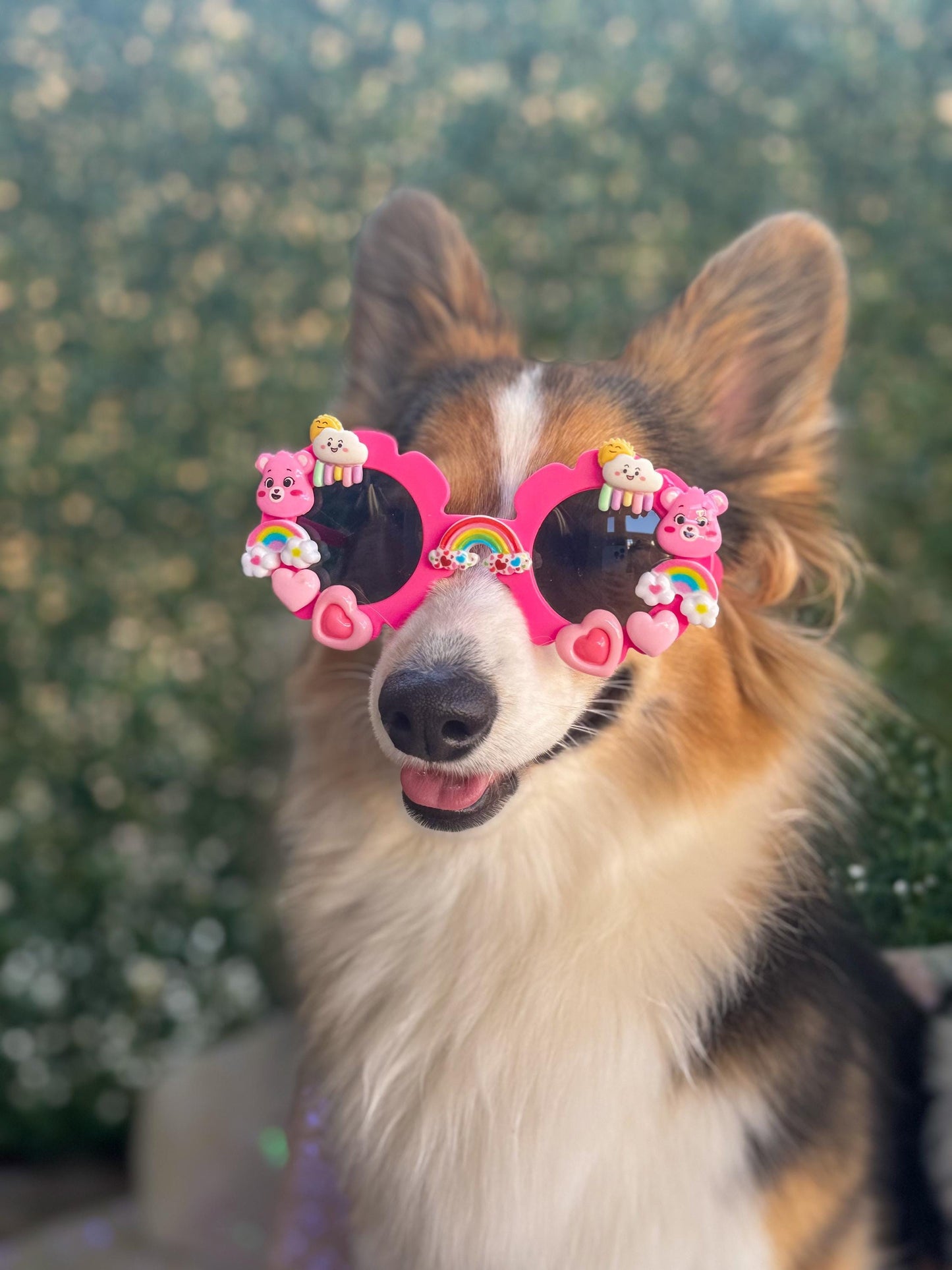 Cheer Bear Sunglasses