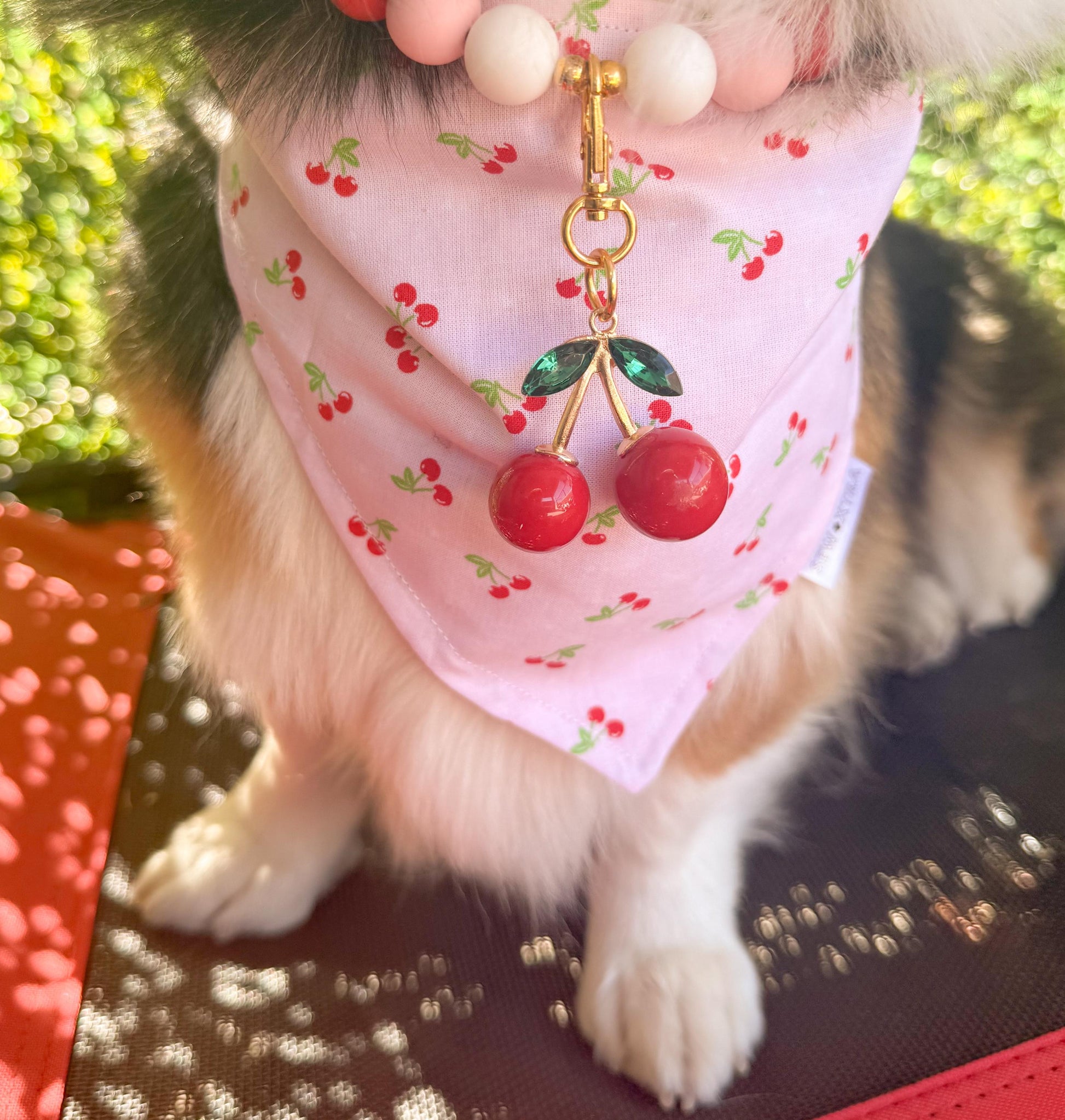 Cherry Charm Drop-Pet Collar Charm