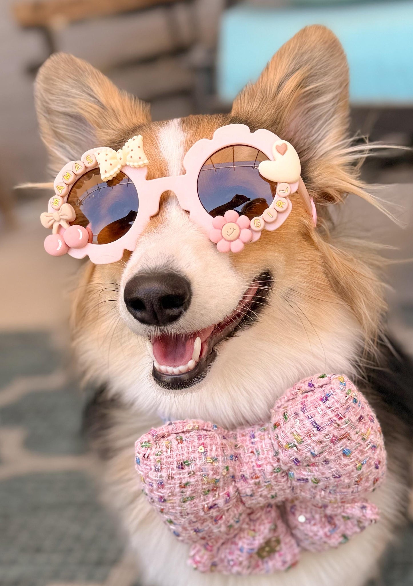 Cherry on Pup Sunglasses