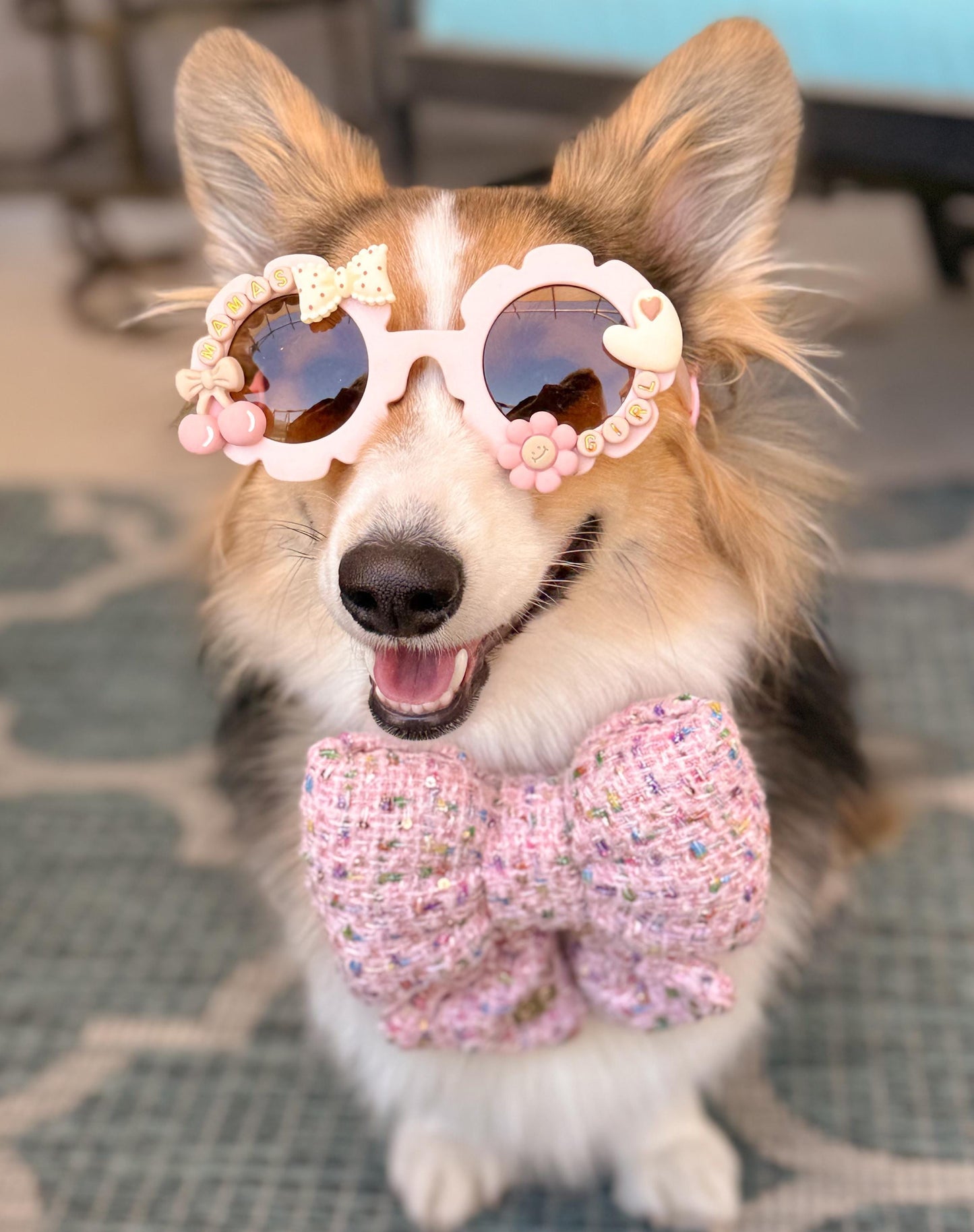 Cherry on Pup Sunglasses