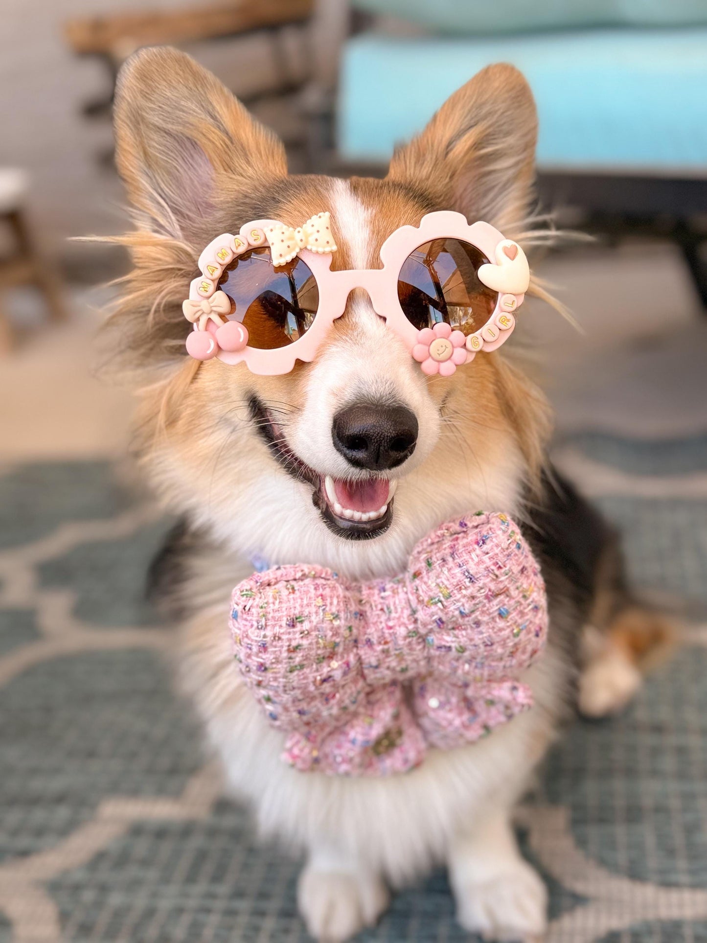 Cherry on Pup Sunglasses