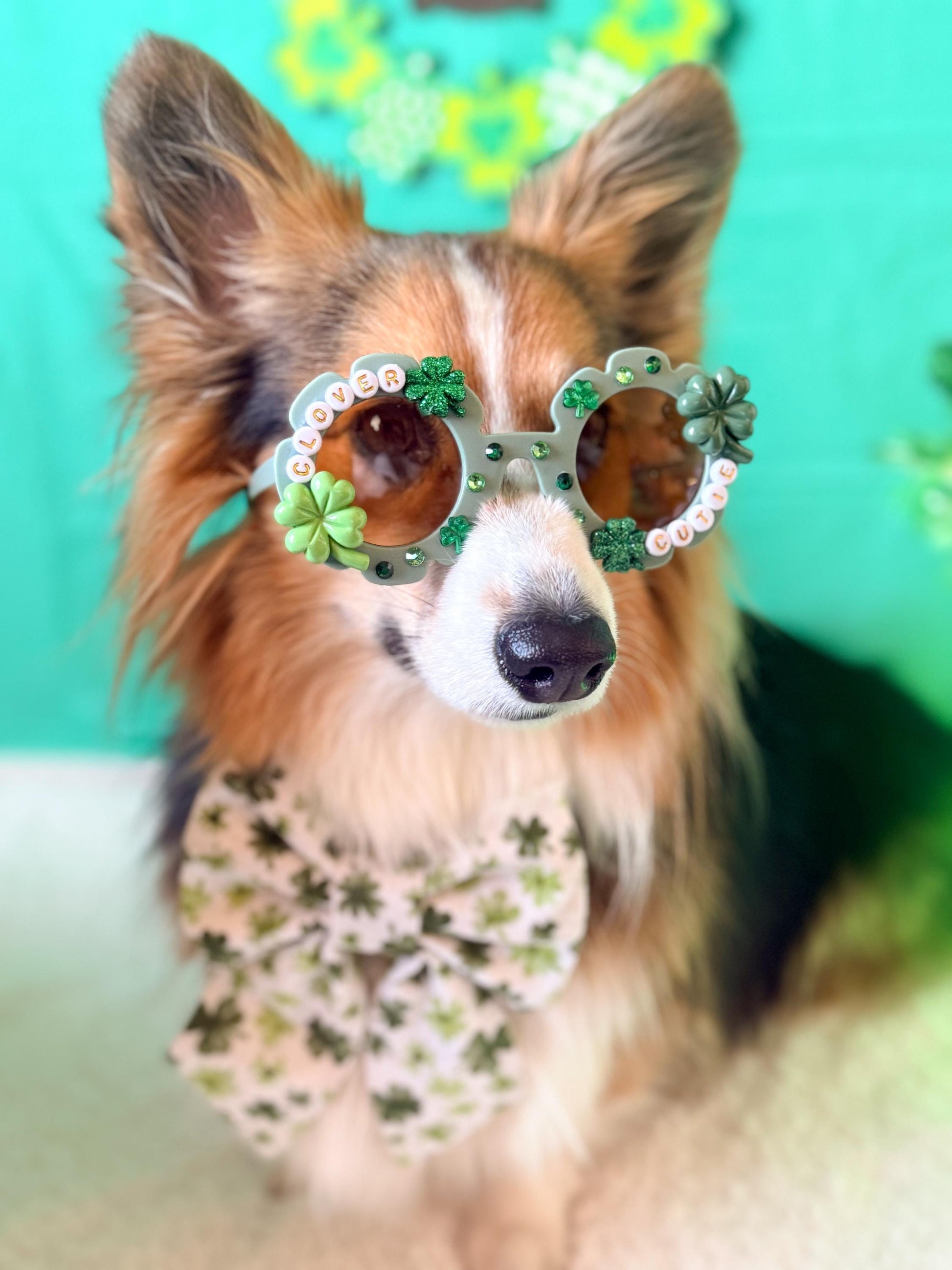Clover Cutie Dog Sunglasses