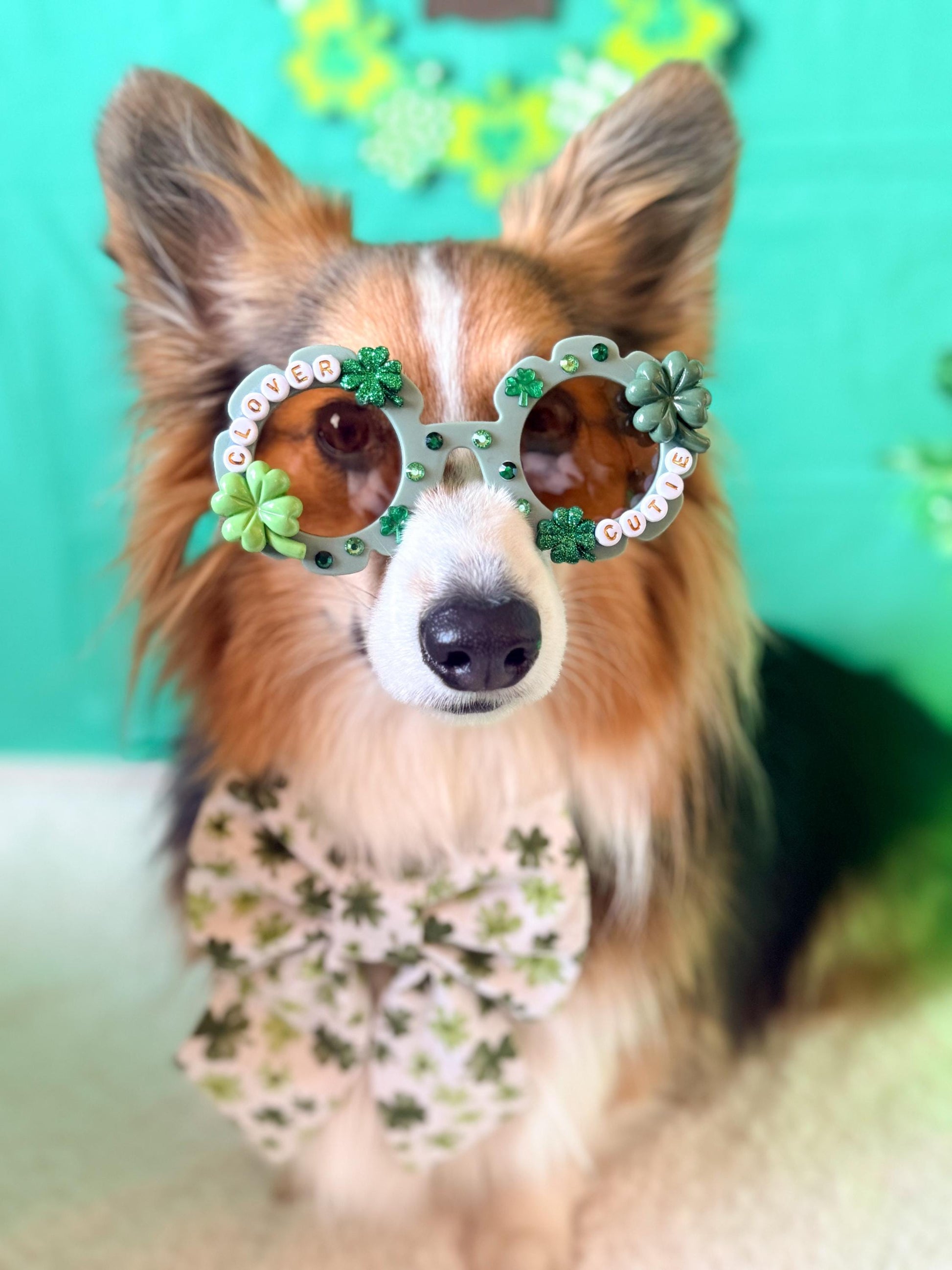 Clover Cutie Dog Sunglasses