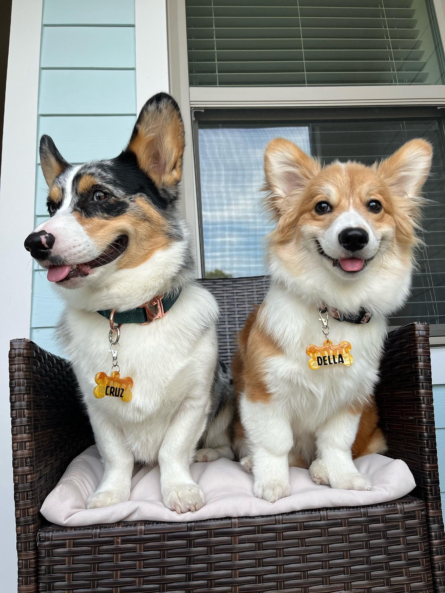 Custom Waffle Pet Tag