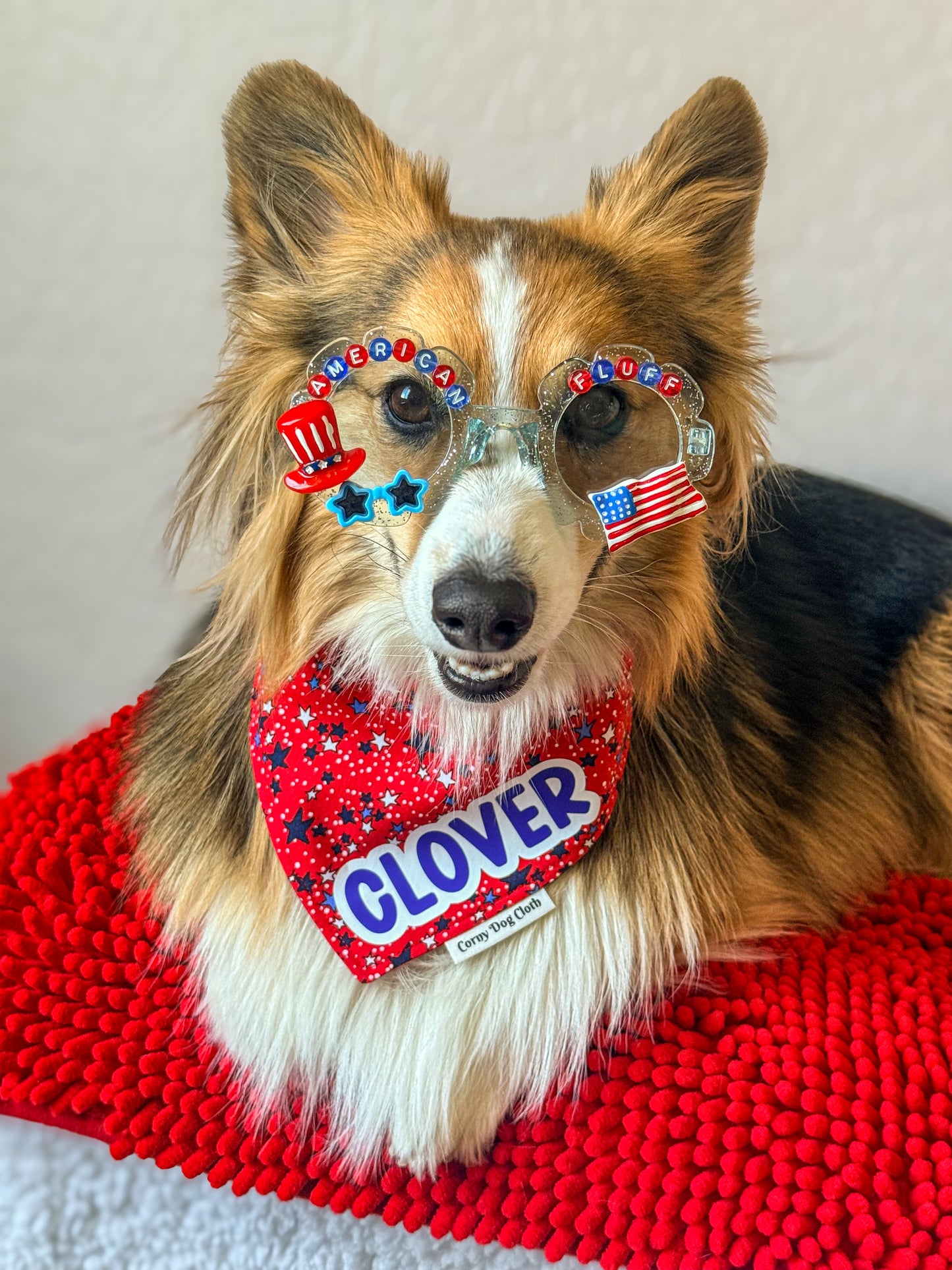 American Fluff Sunglasses