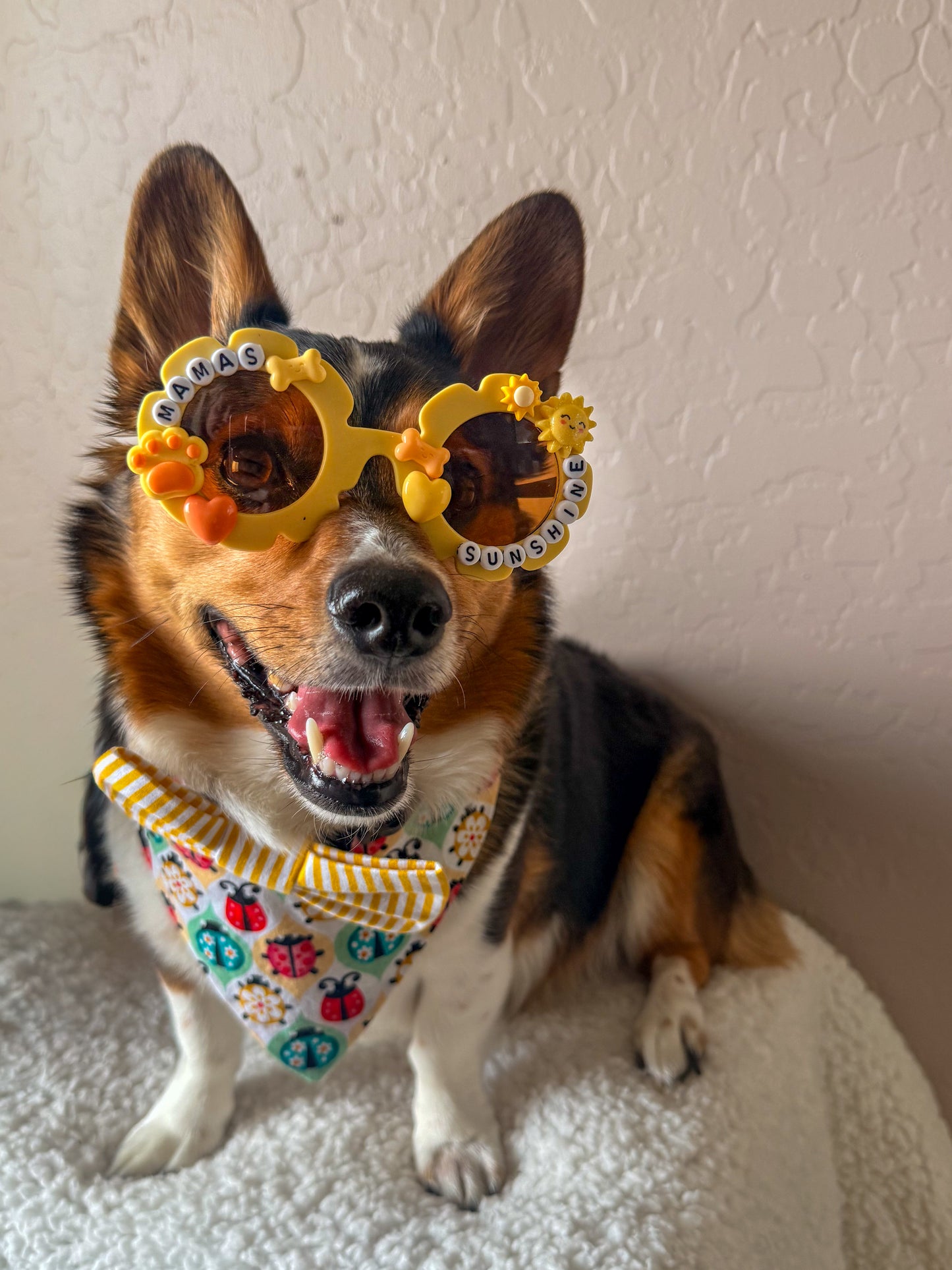 Mama’s Sunshine Sunglasses