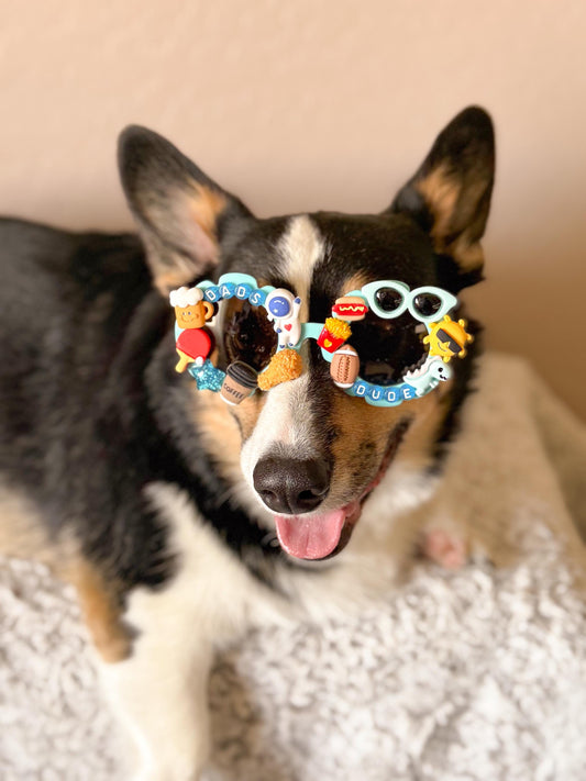 Dad’s Dude Sunglasses