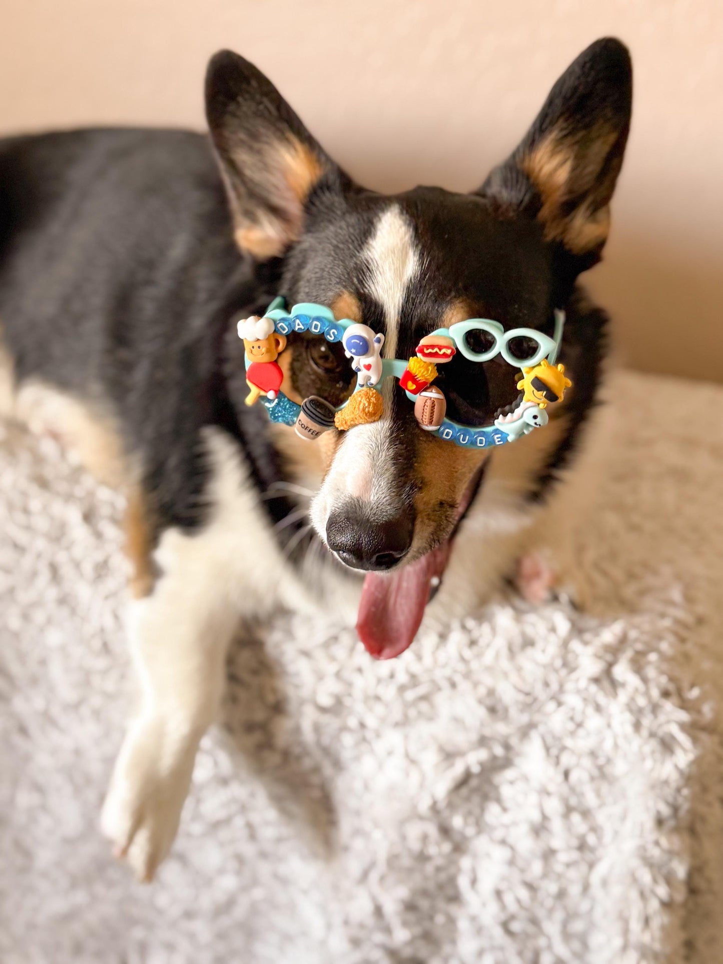 Dad’s Dude Sunglasses