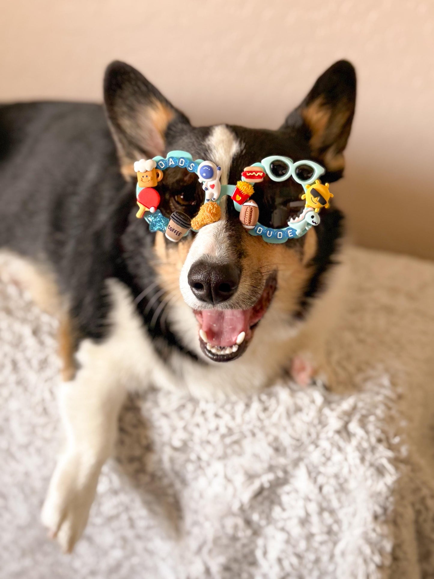 Dad’s Dude Sunglasses