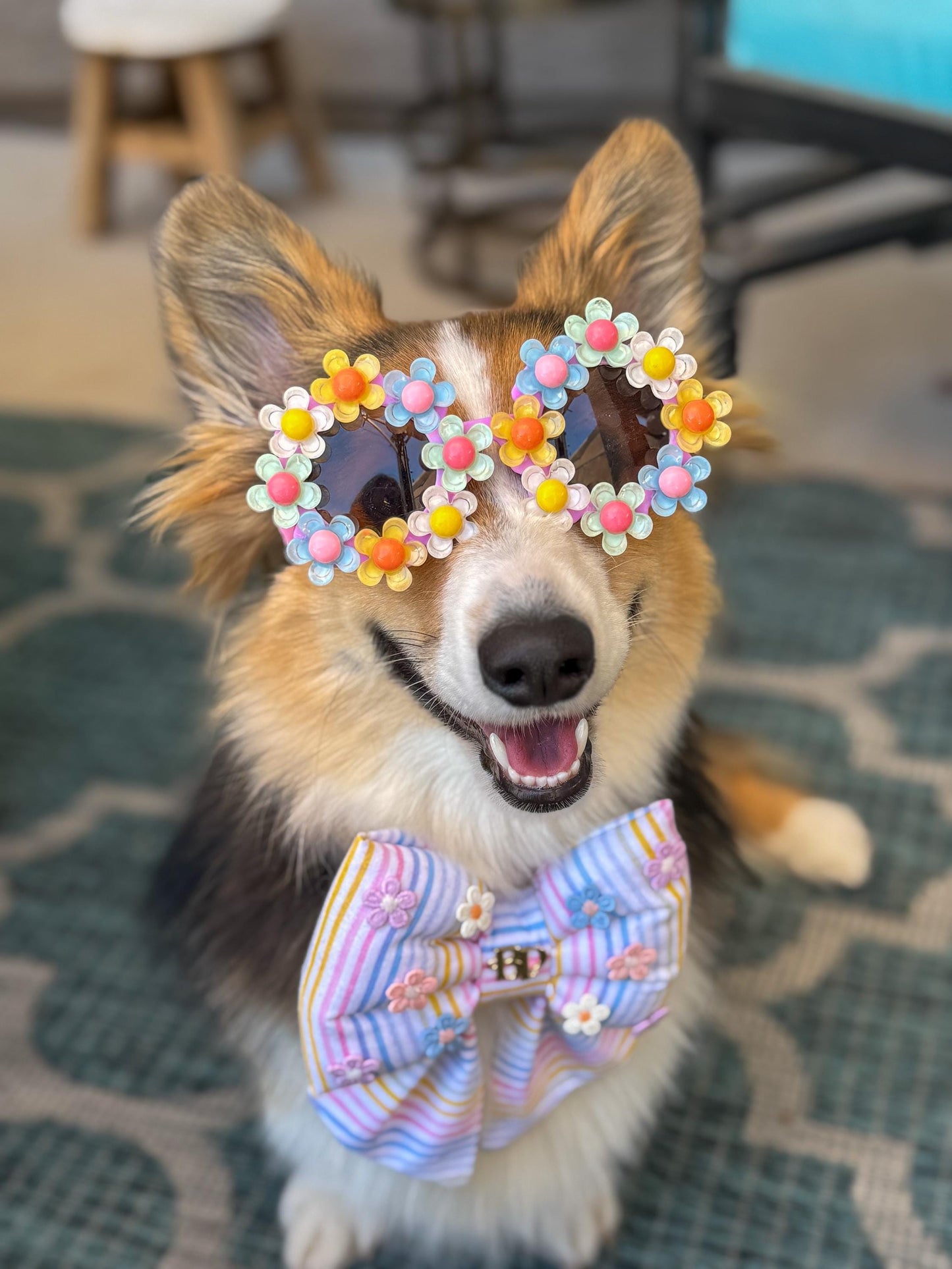 Daisy Dazzler Sunglasses