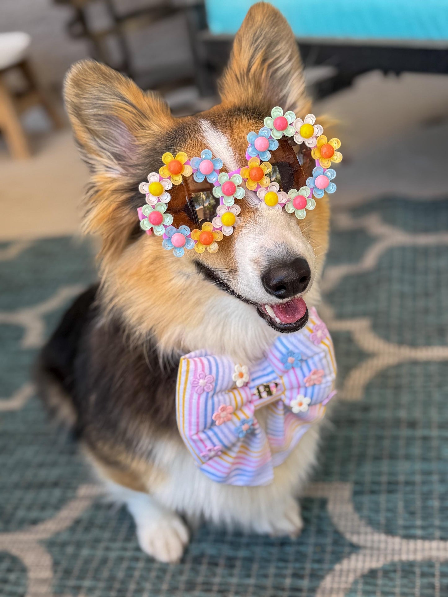 Daisy Dazzler Sunglasses