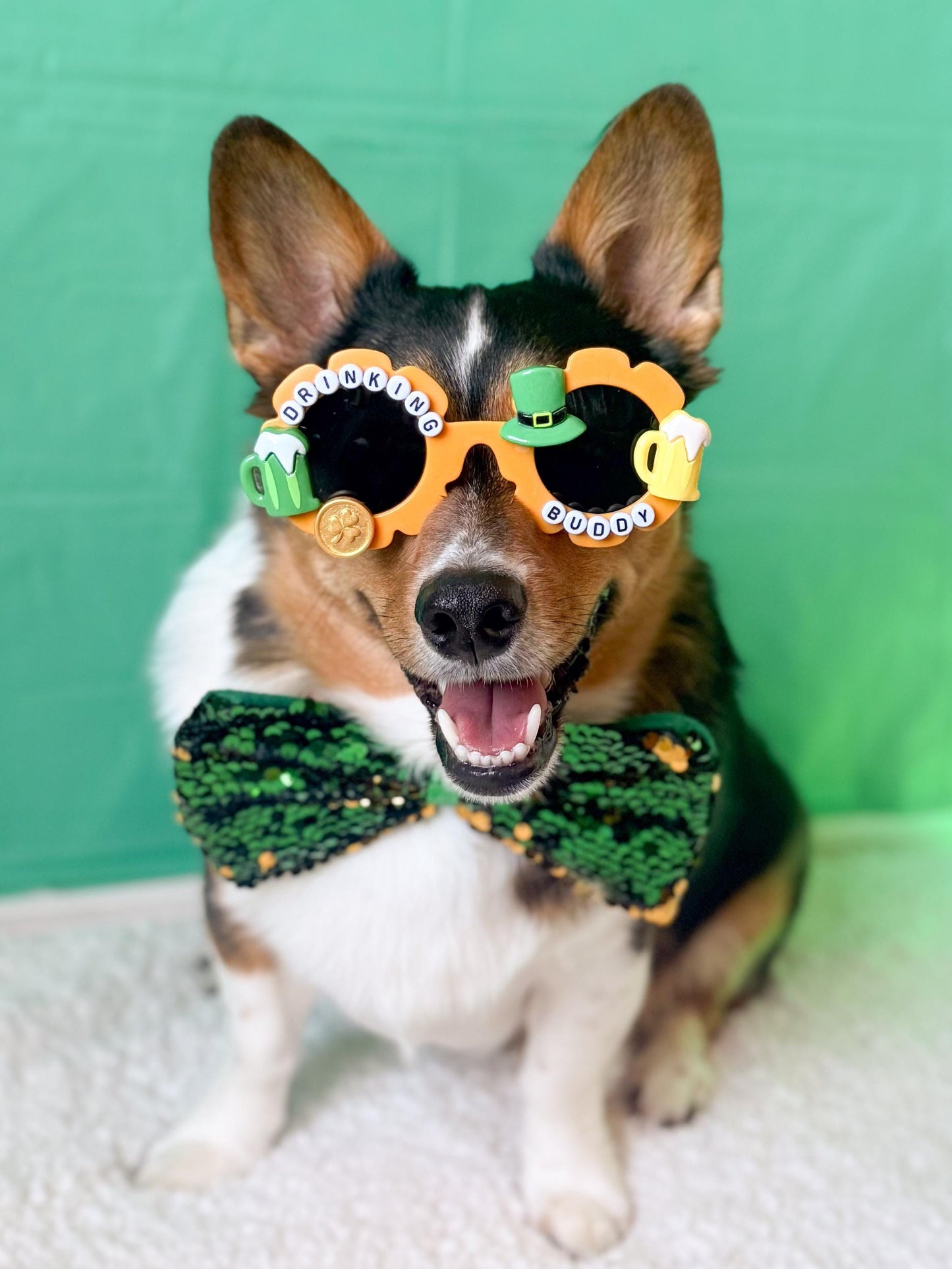 Drinking Buddy Dog Sunglasses