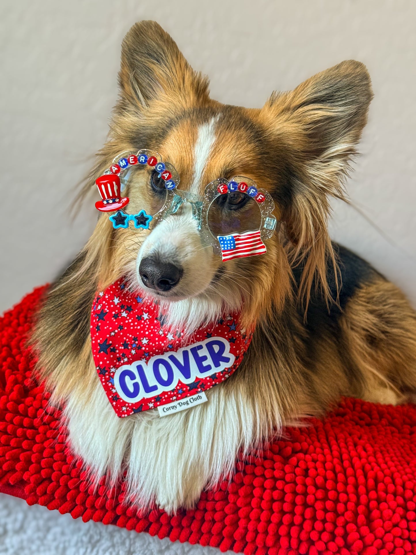 American Fluff Sunglasses
