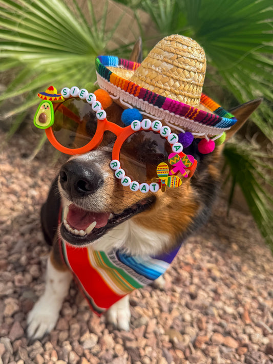 Siesta Fiesta Repeat Sunglasses
