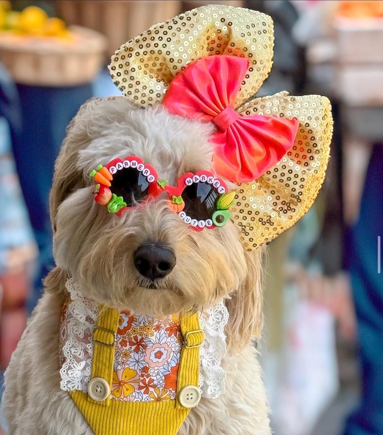 Farmers Market Sunnies