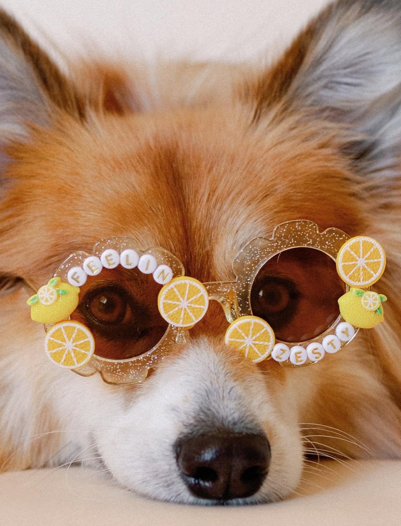 Feelin Zesty Sunglasses