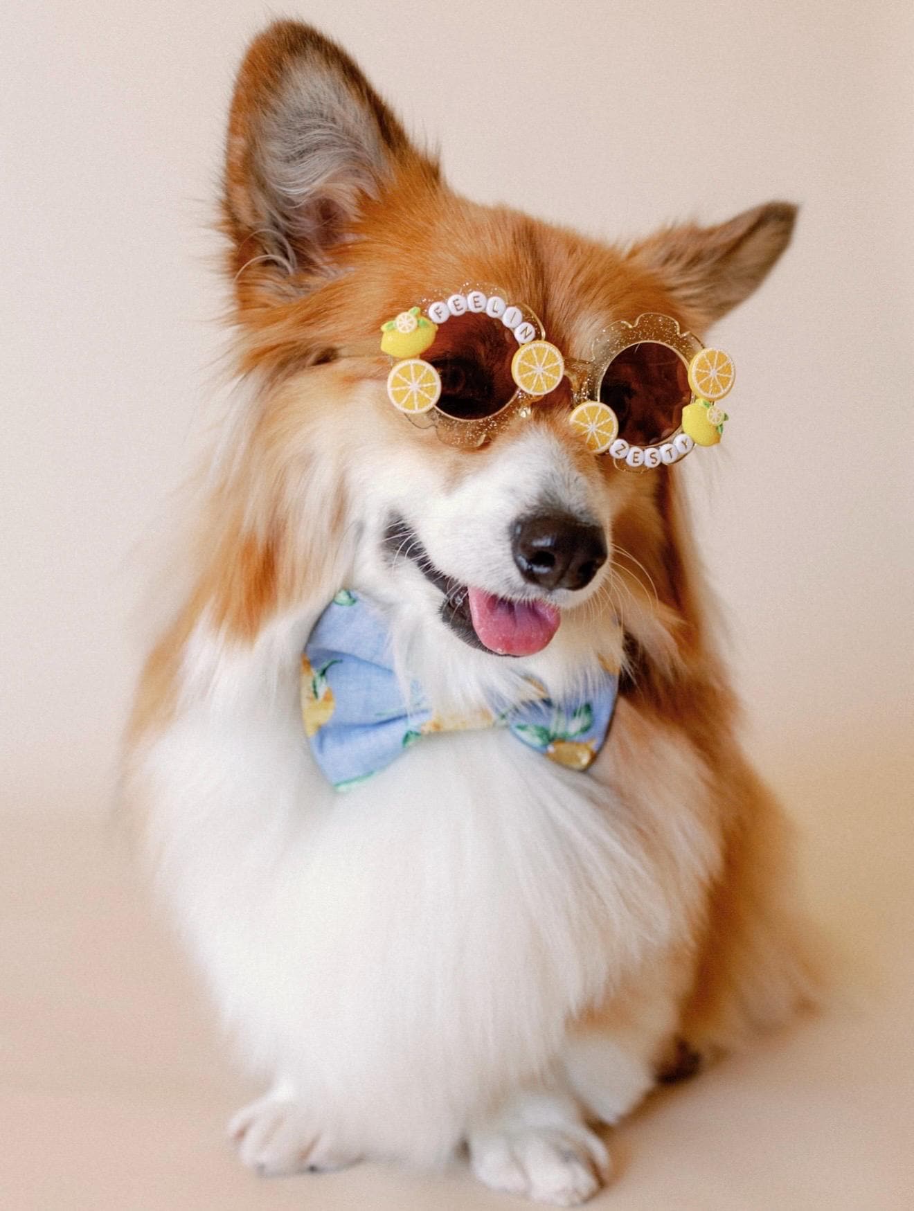 Feelin Zesty Sunglasses