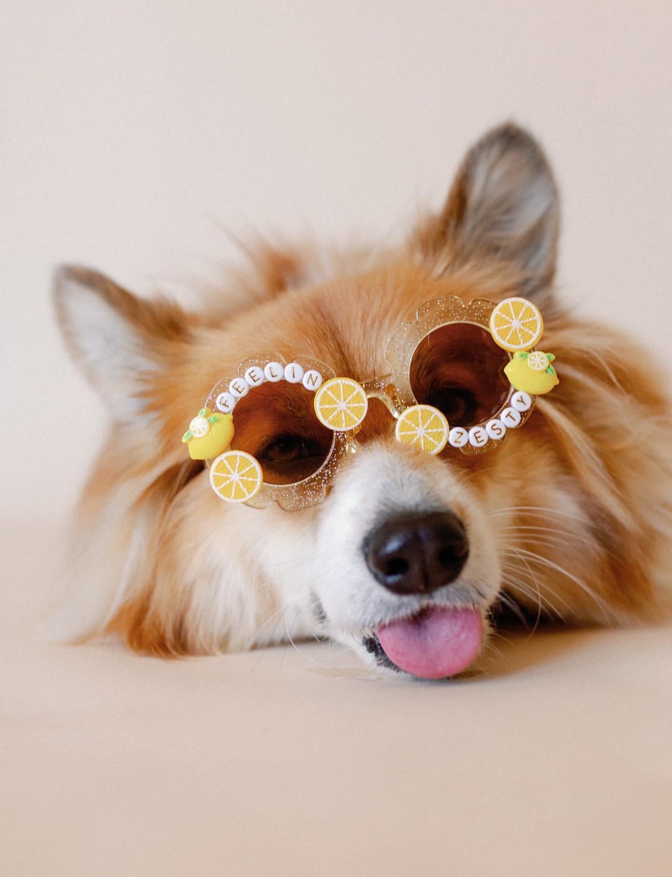 Feelin Zesty Sunglasses