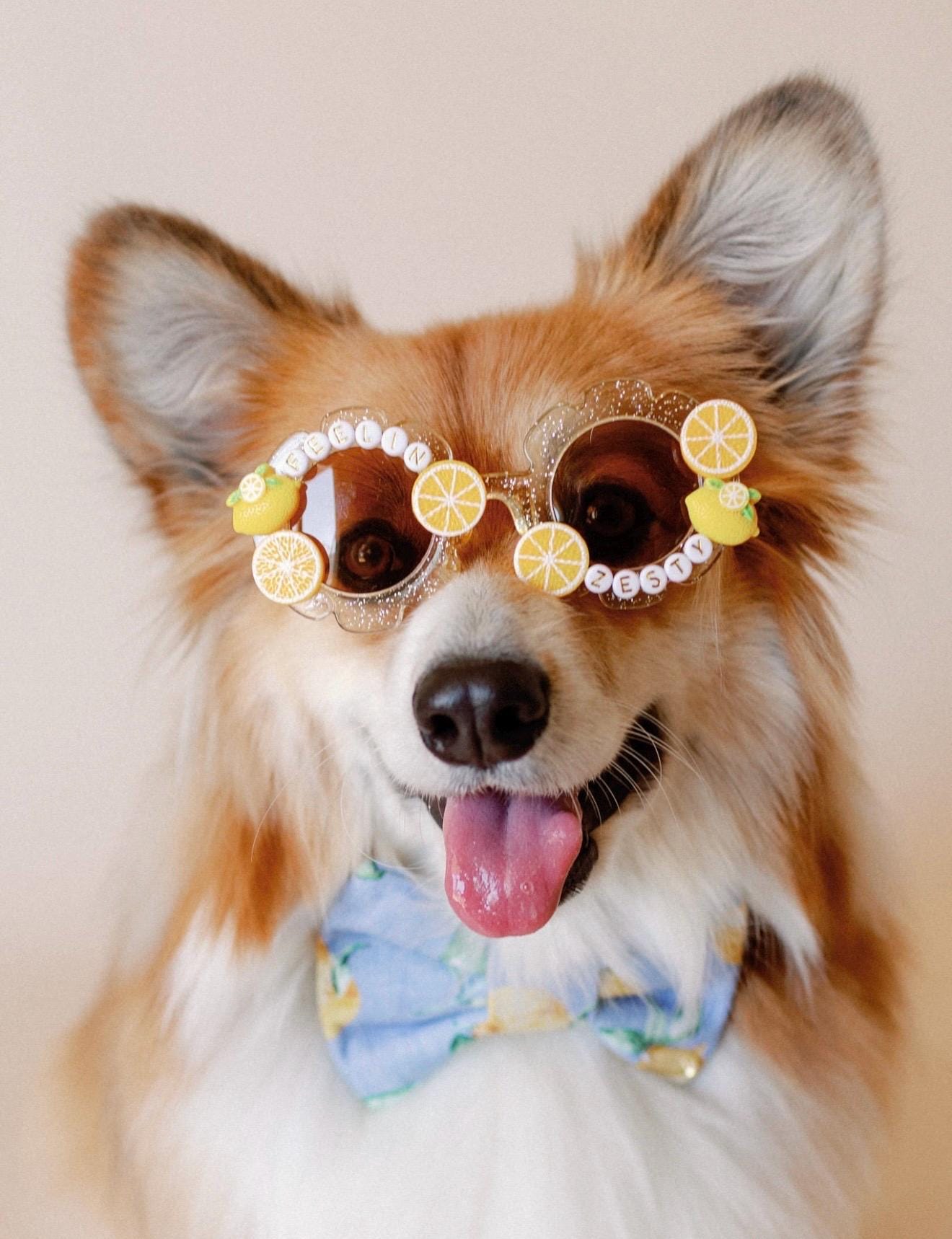 Feelin Zesty Sunglasses