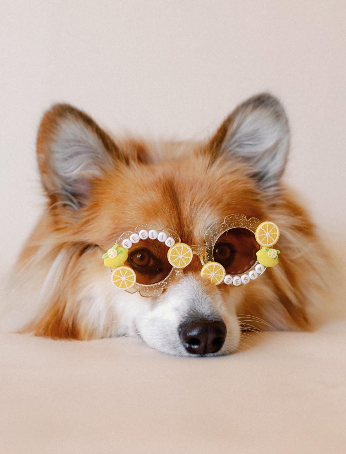 Feelin Zesty Sunglasses
