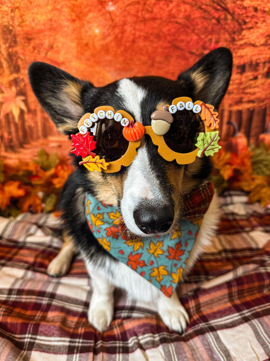 Fetchin Fall Sunglasses