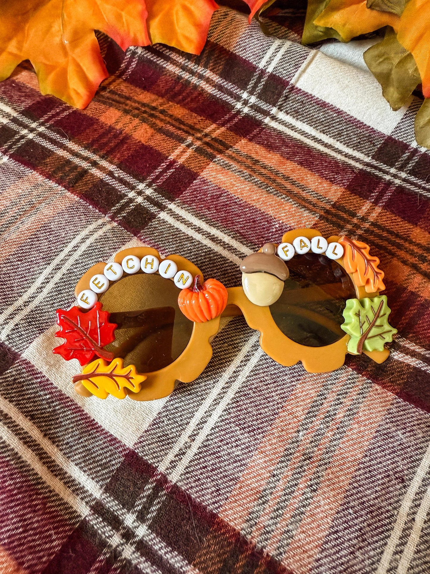 Fetchin Fall Sunglasses