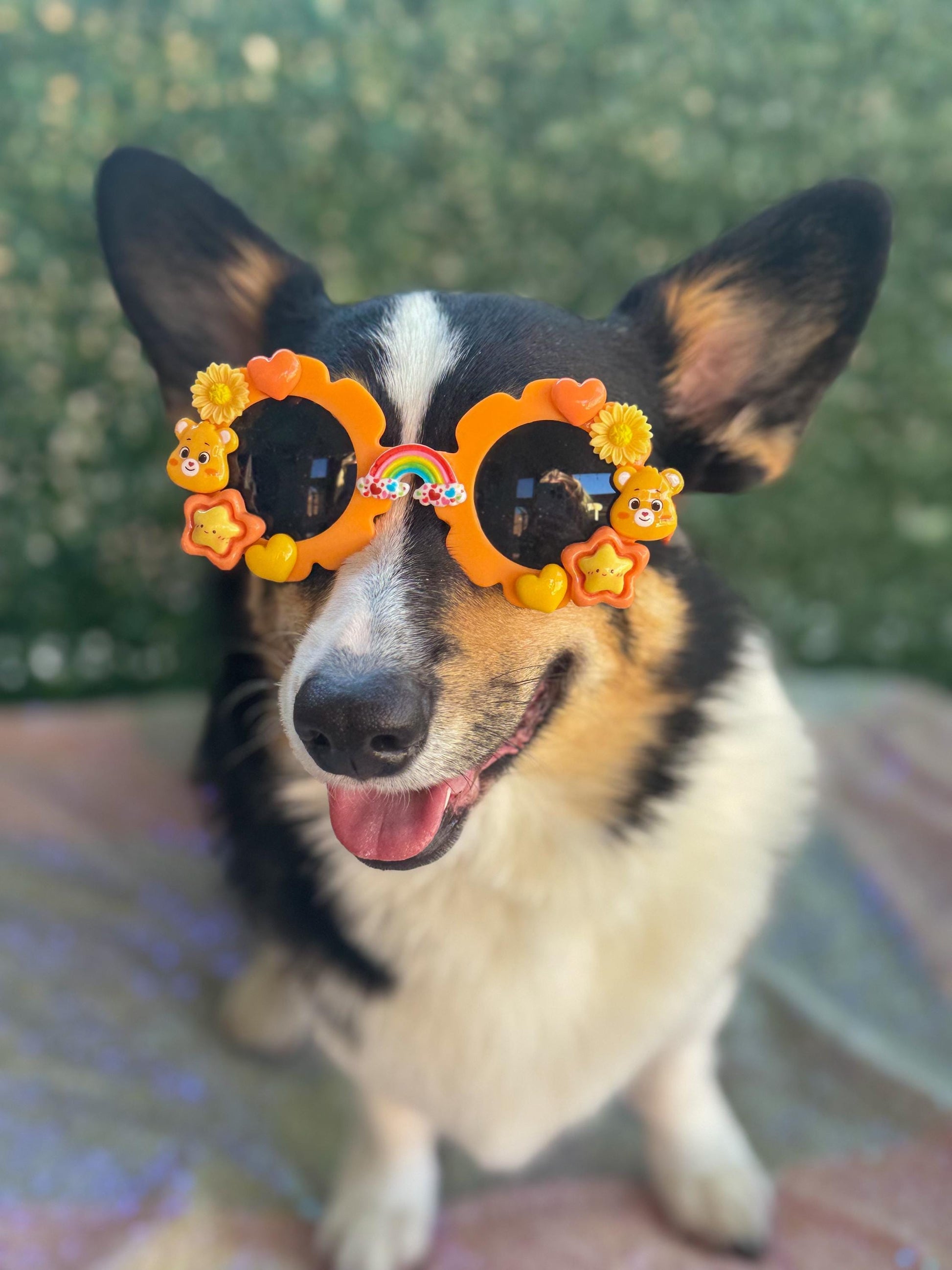 Friendship Bear Sunglasses