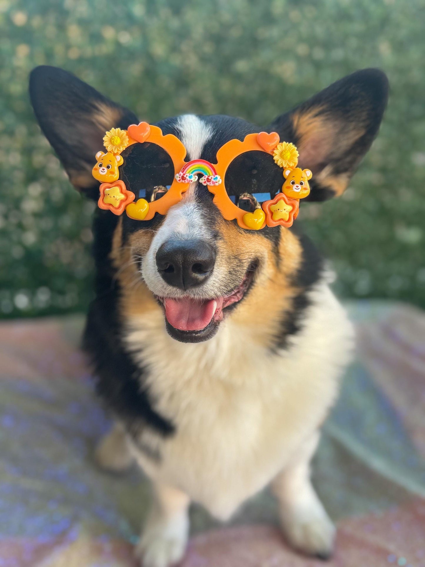 Friendship Bear Sunglasses
