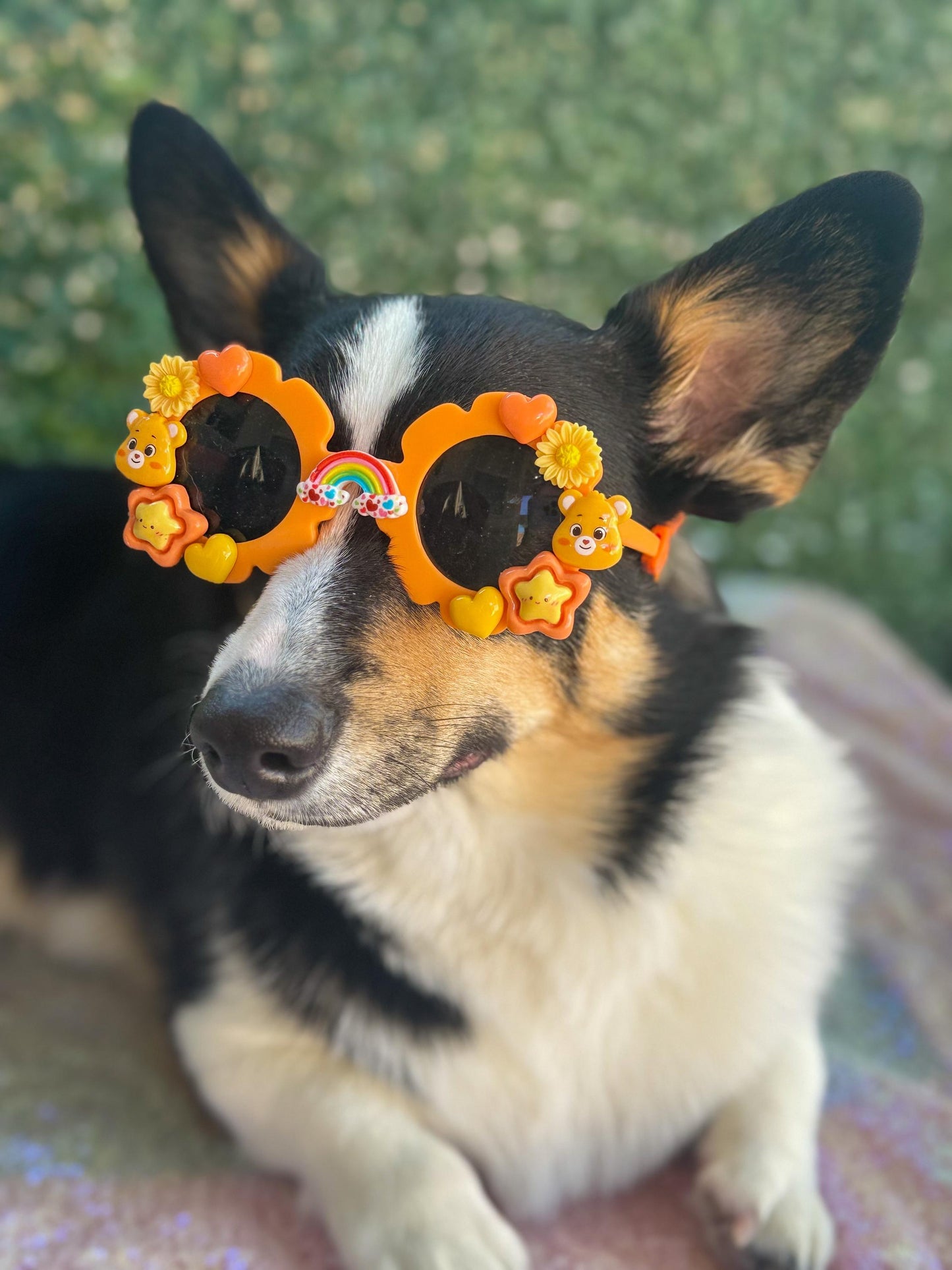Friendship Bear Sunglasses