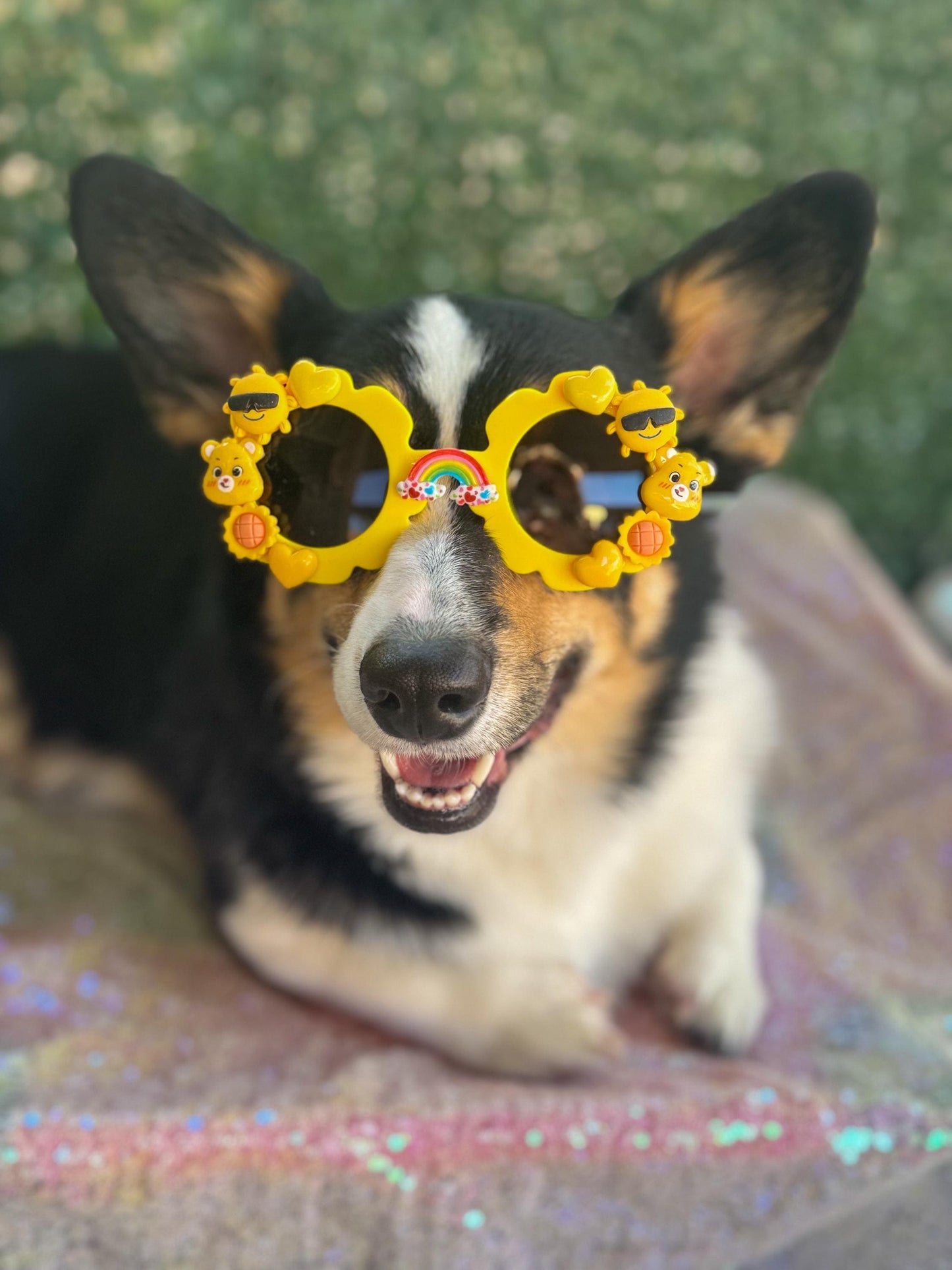 Funshine Bear Sunglasses
