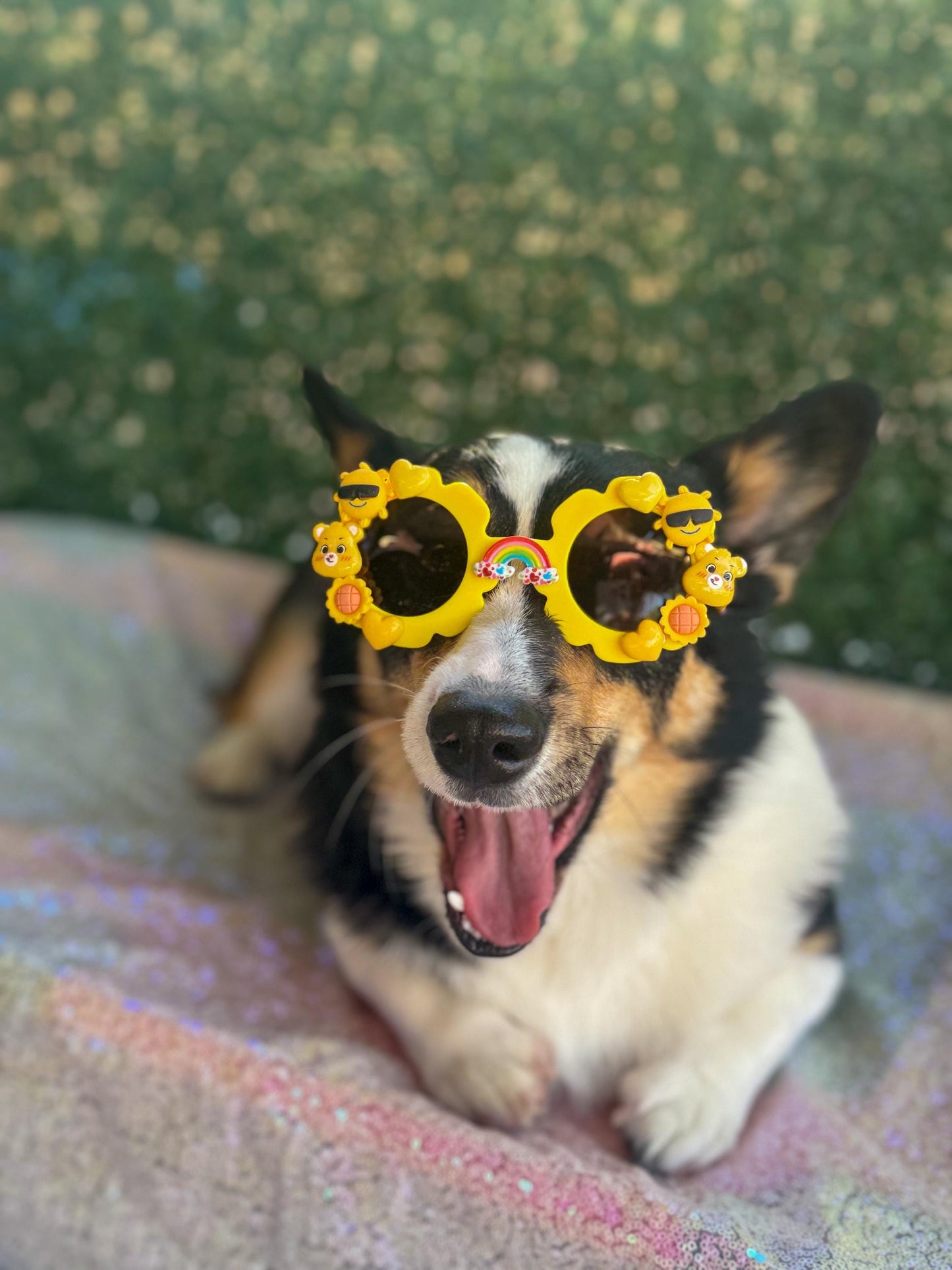 Funshine Bear Sunglasses