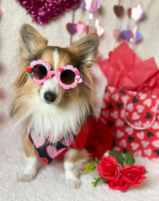 Furever Mine- Valentine’s Day Pet Sunglasses