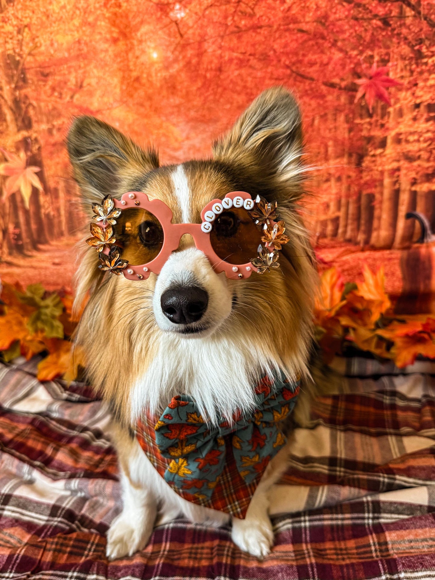 Golden Leaves Custom Sunglasses