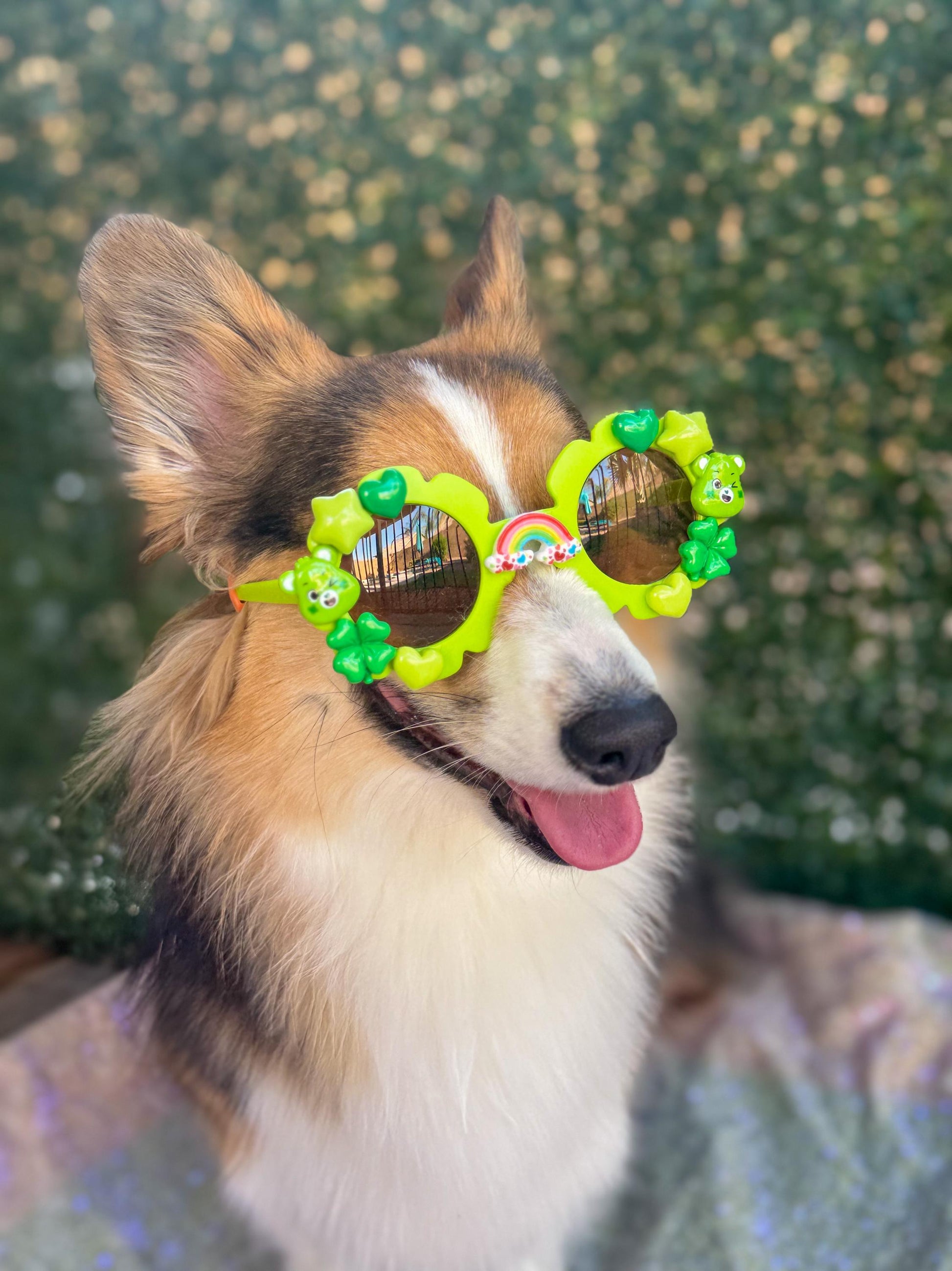 Good Luck Bear Sunglasses