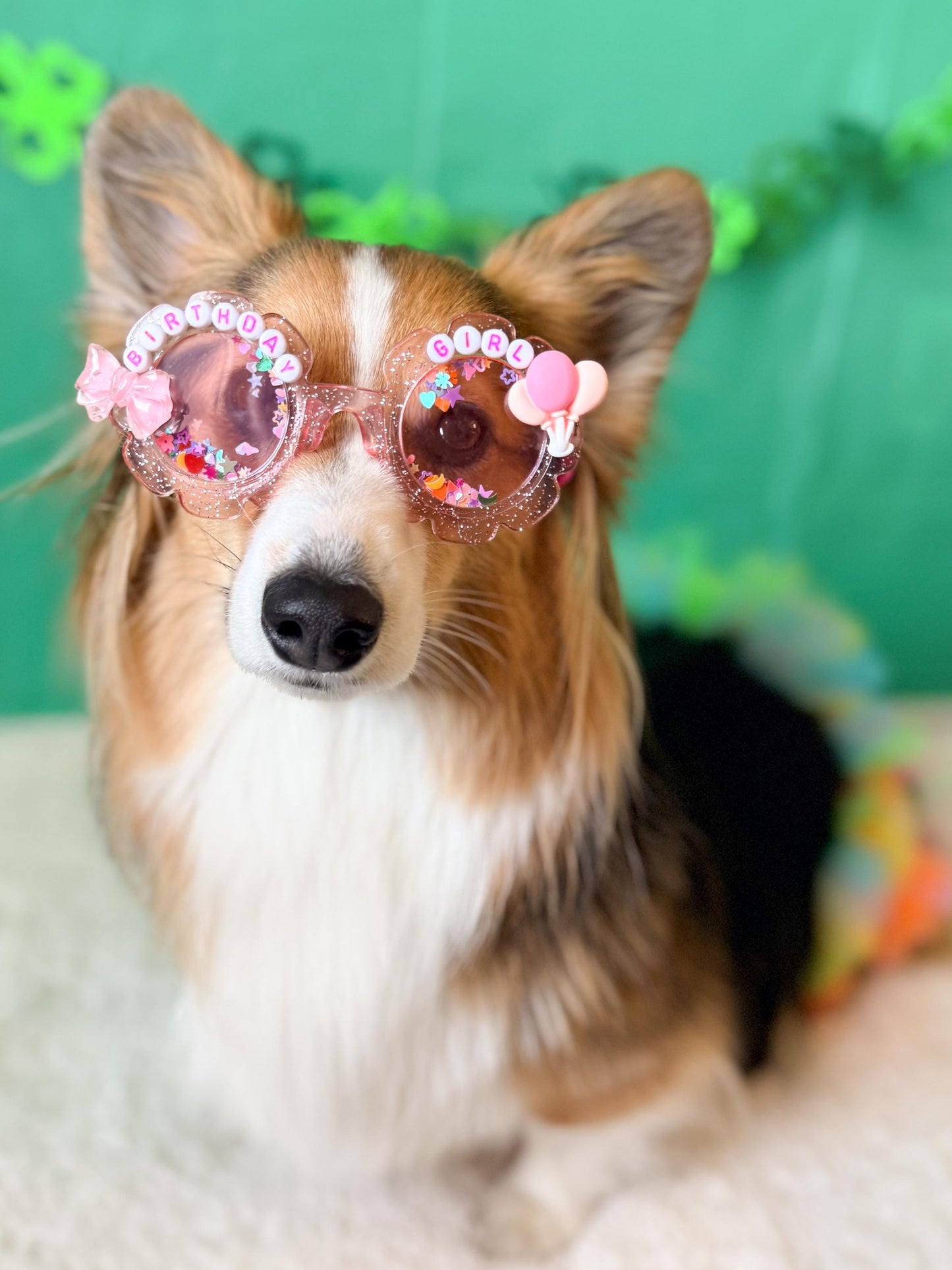 Handmade Dog Birthday Sunglasses | Glitter Party Glasses for Pets