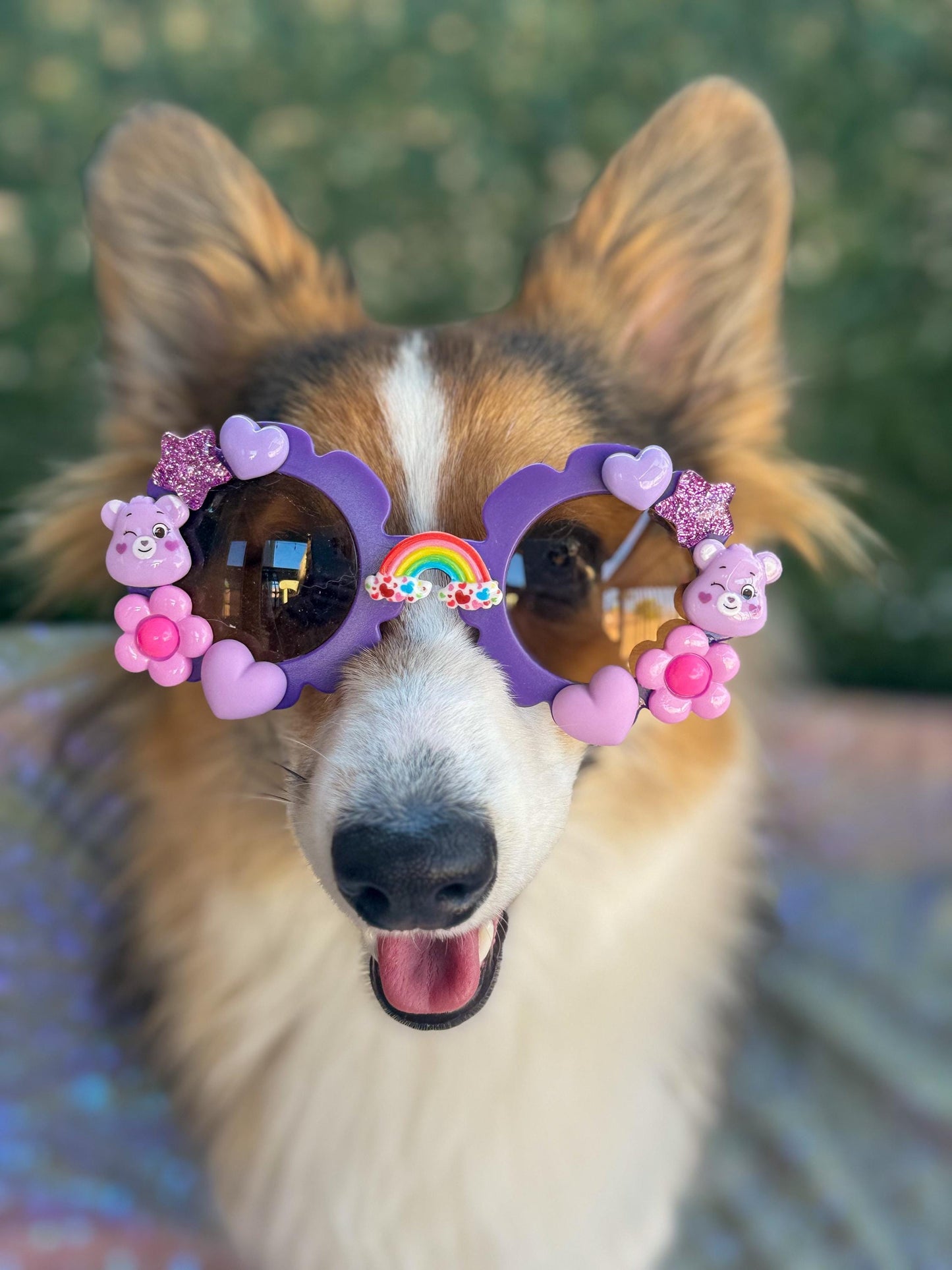 Harmony Bear Sunglasses
