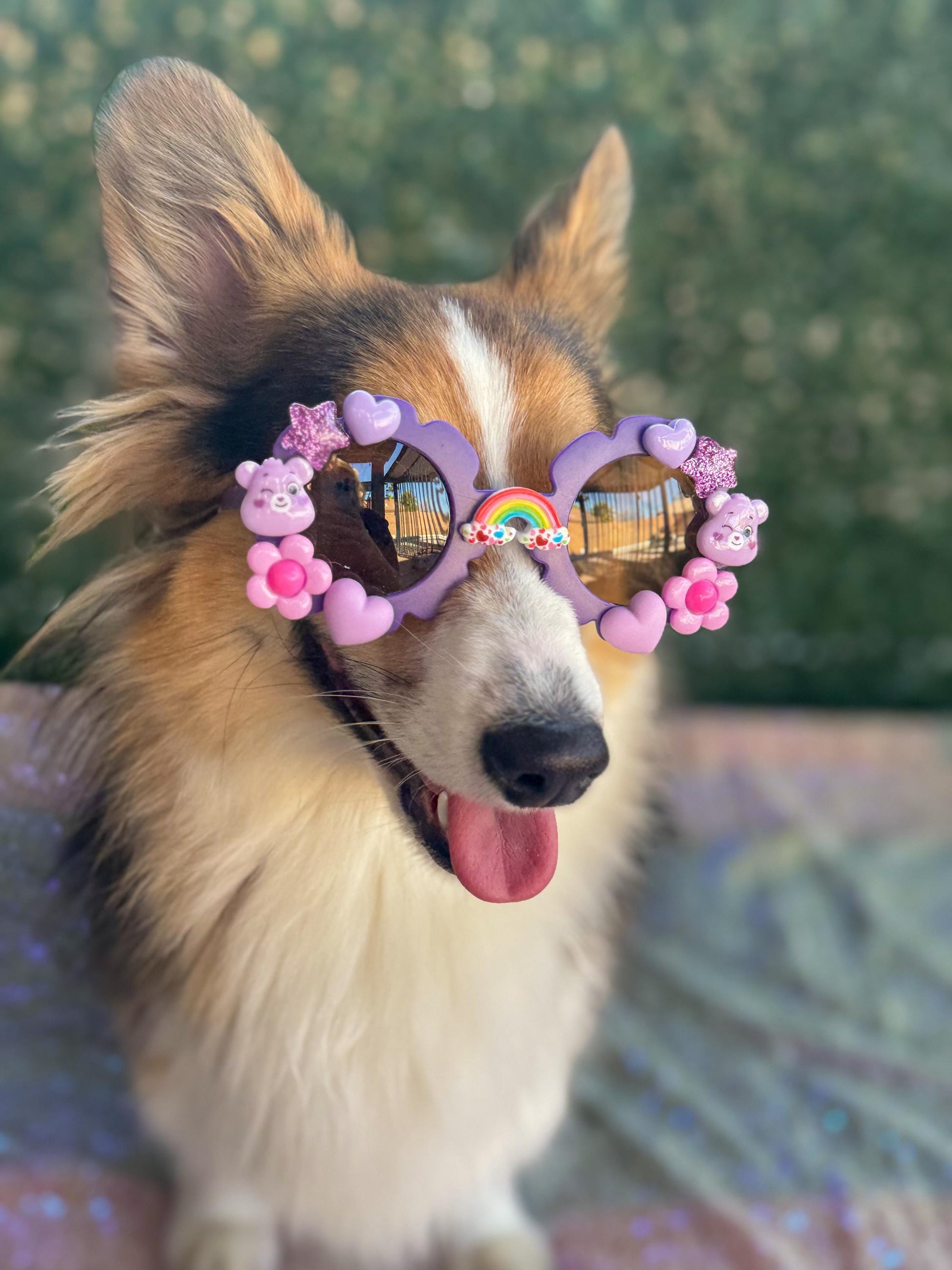 Harmony Bear Sunglasses